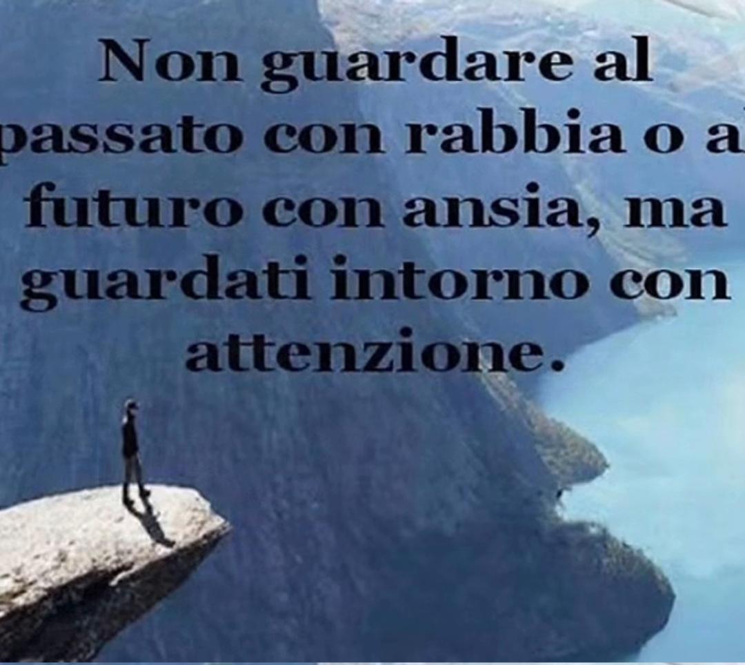 @rosariorizzolo578