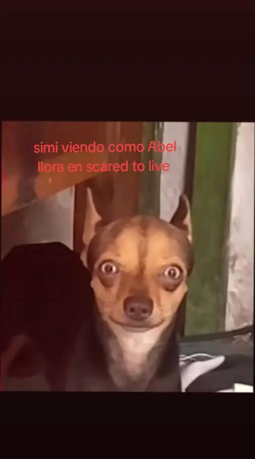 @crybaby✗o