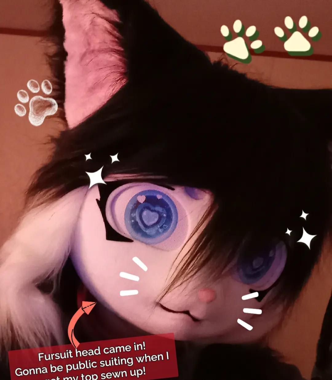 @CottonCandyFur