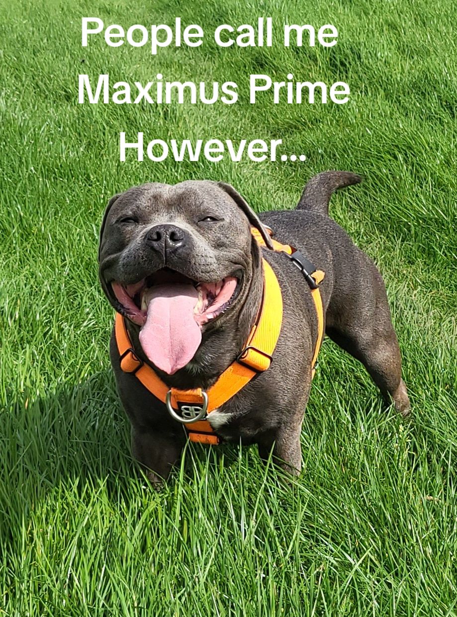 @Maximus Prime