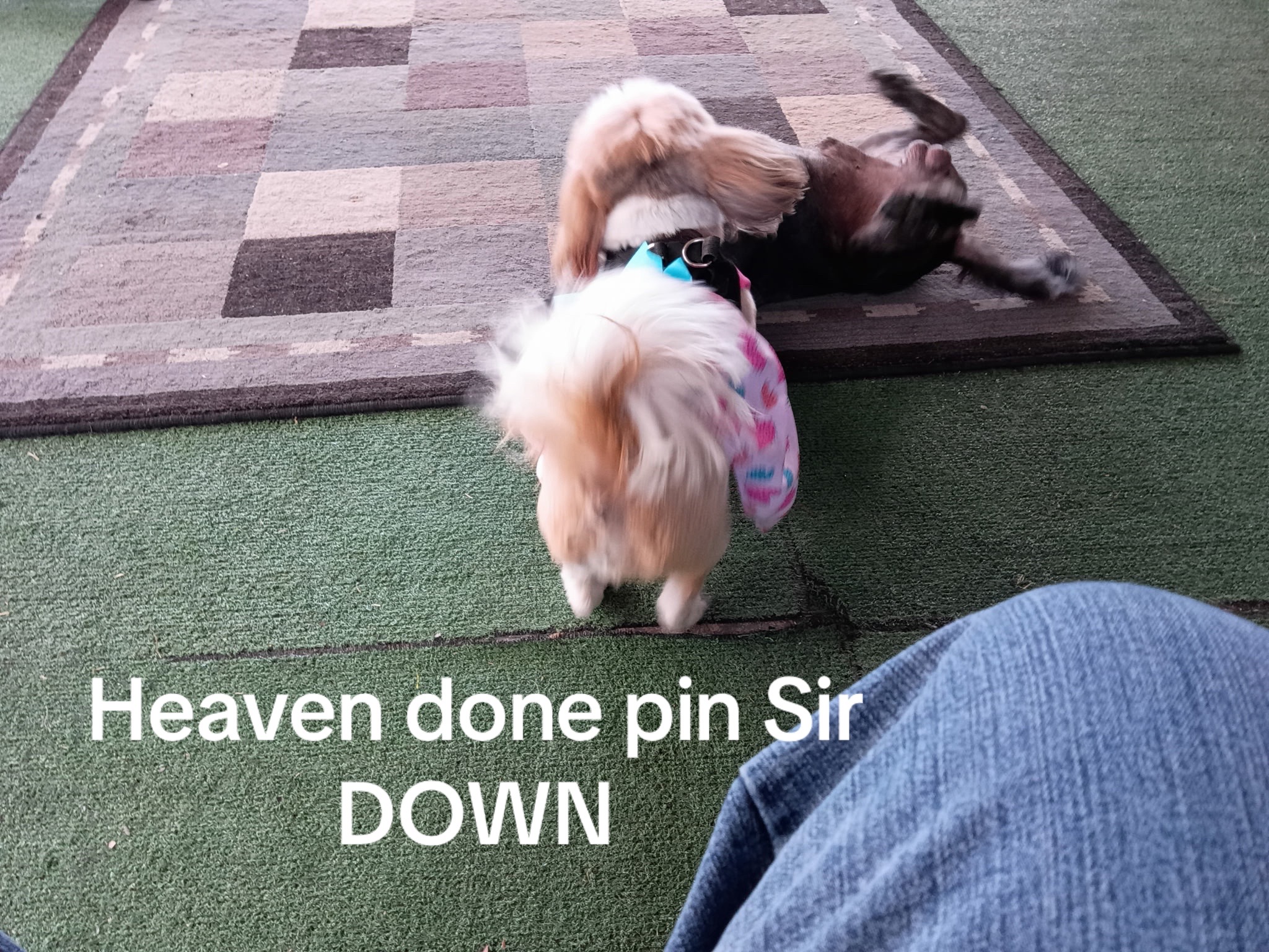 @Queen’s Heaven
