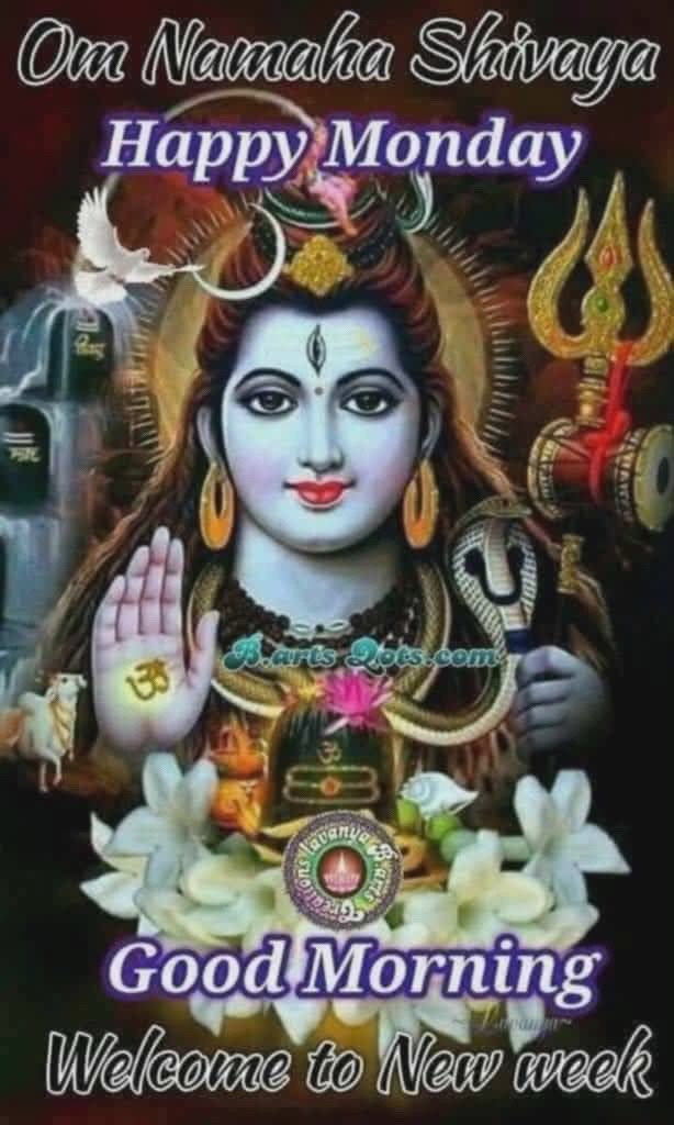 @user6563234052706