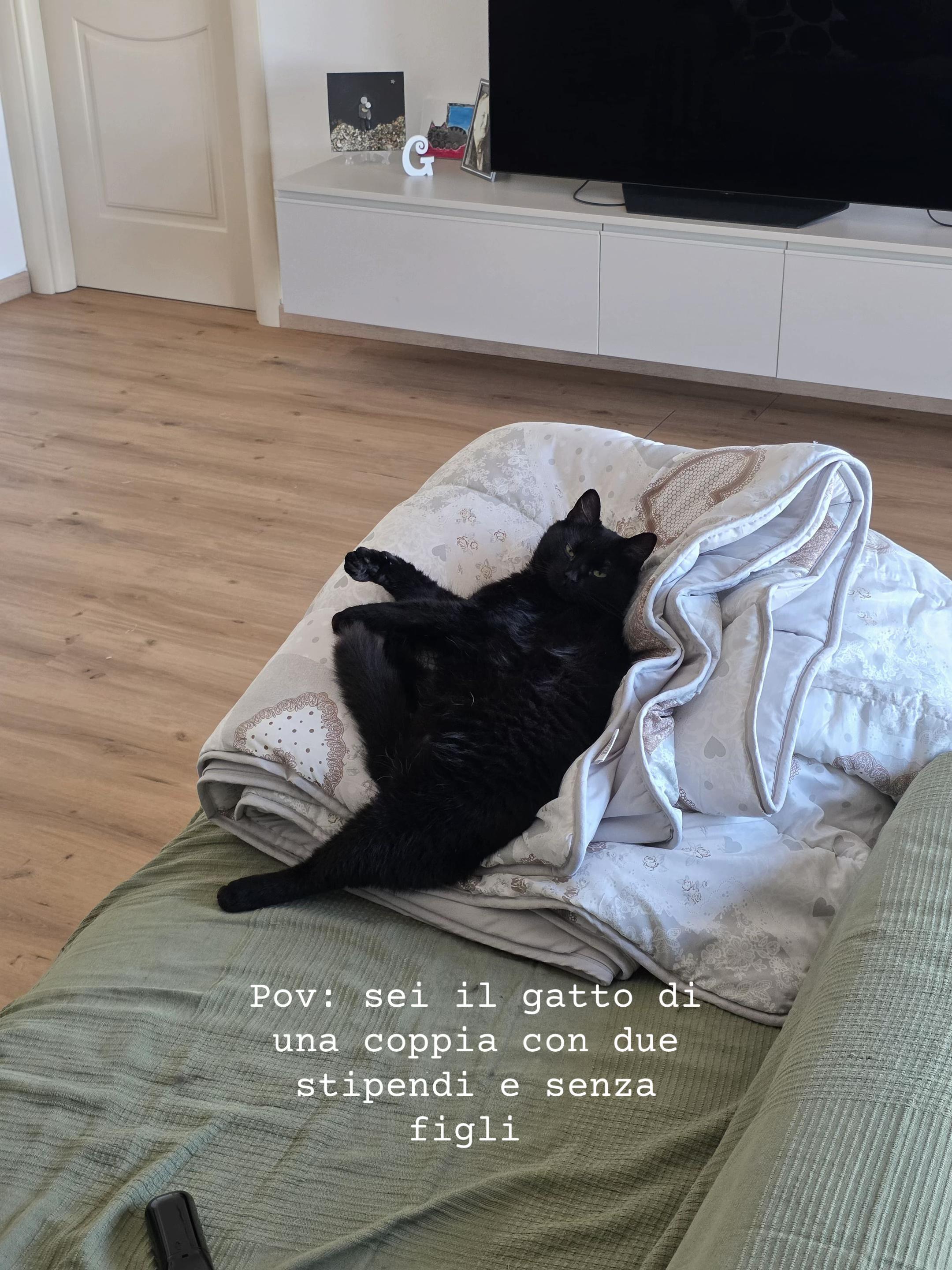 @Giada🐈⬛🖤