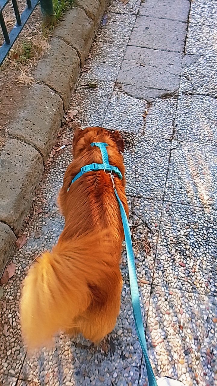 @massimo Santoro