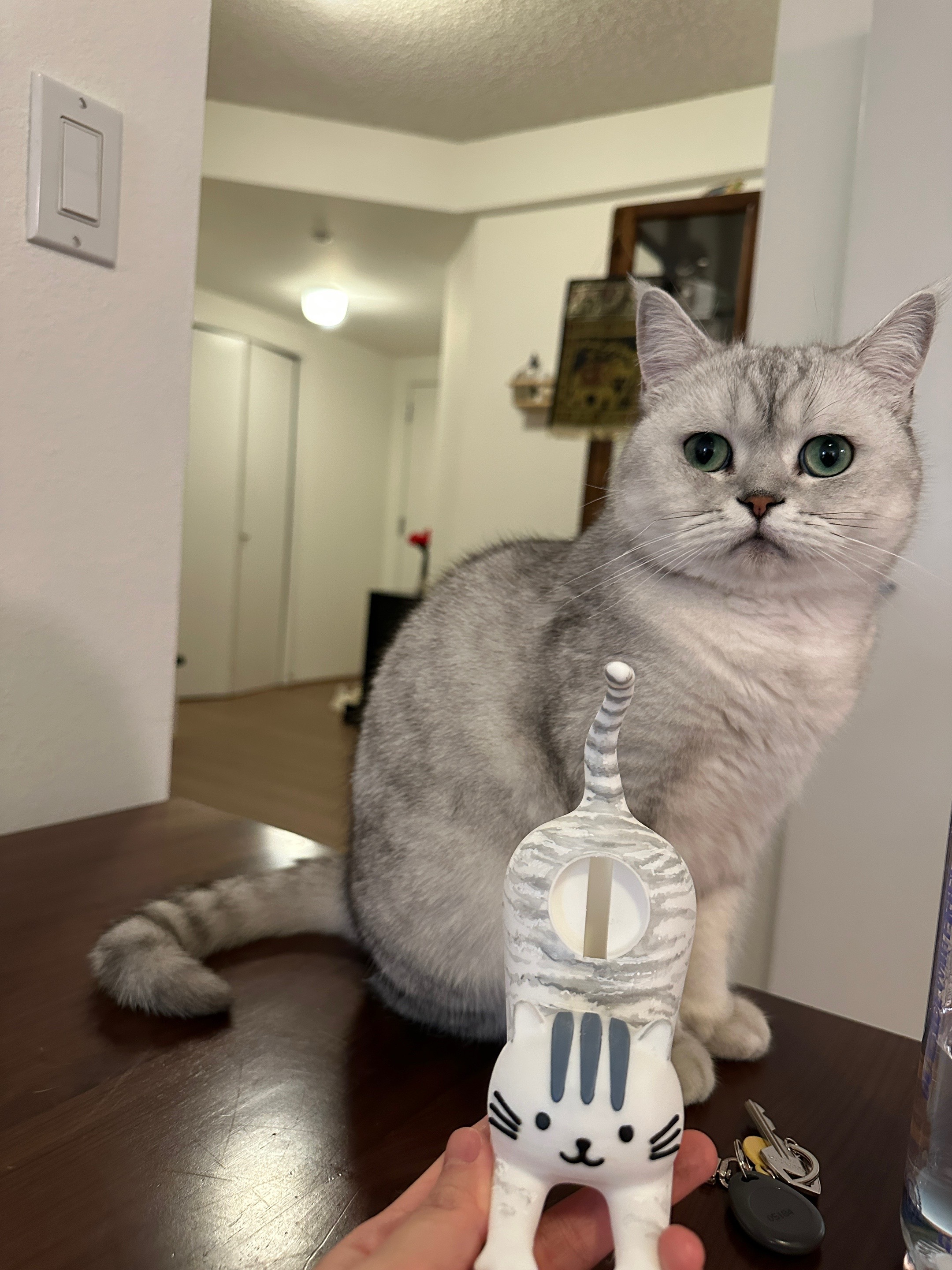 @riceballmeow88