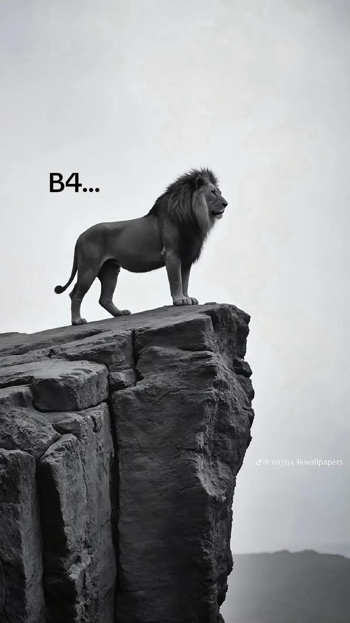 @𝓖𝓮𝓷𝓷𝓪𝓻𝓸🥋