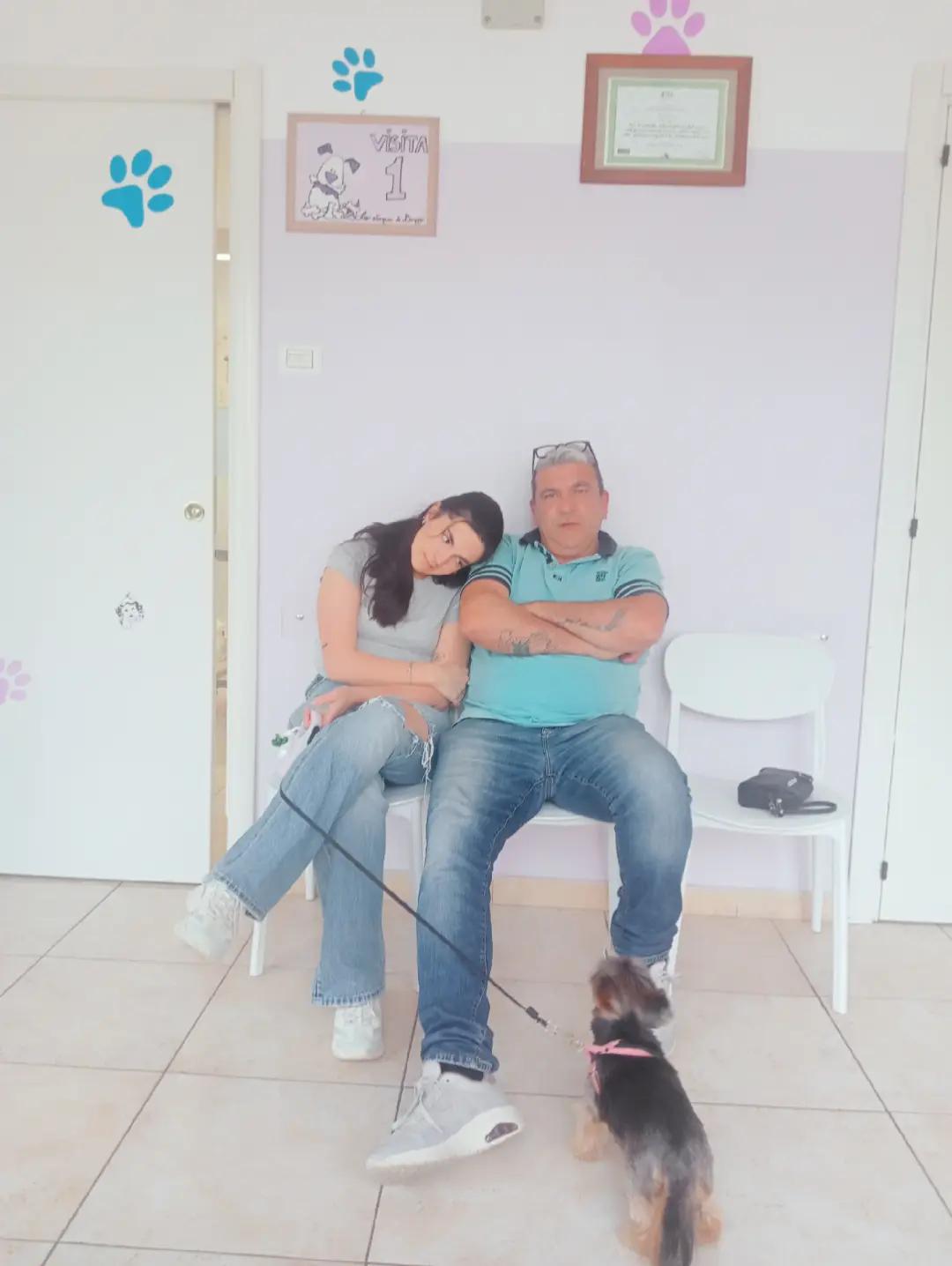 @Rosa Renzullo