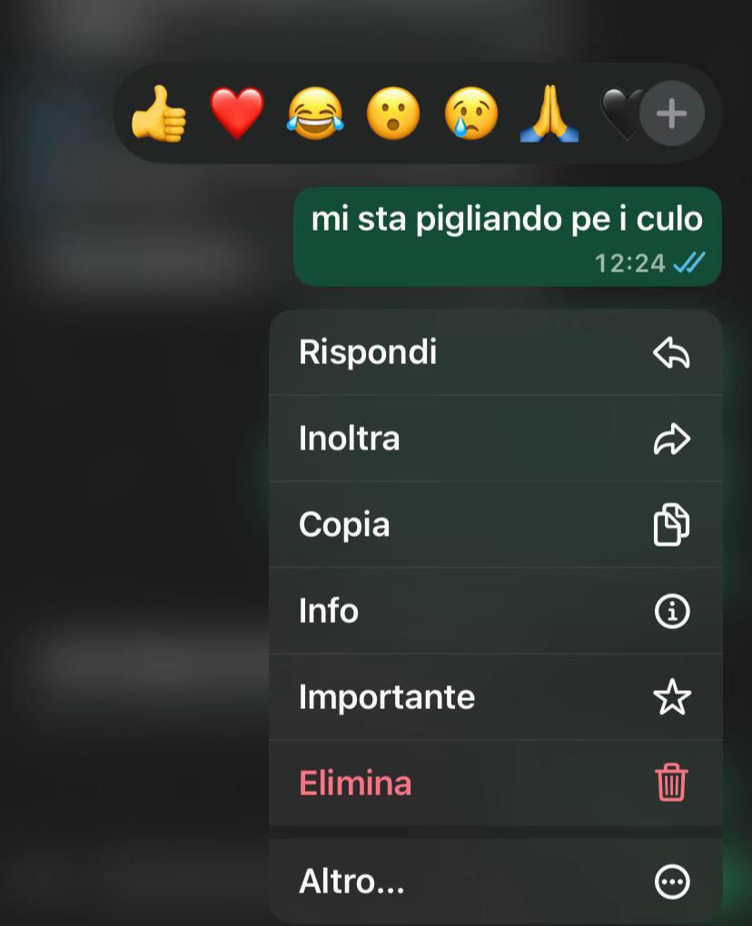 @noe_spamm10