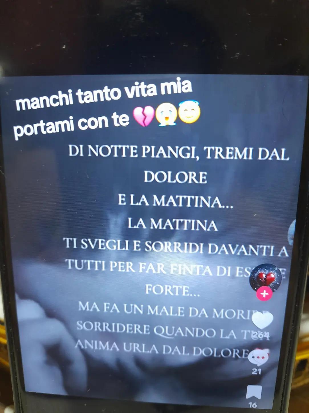 @🔥 la volpe rossa 🔥