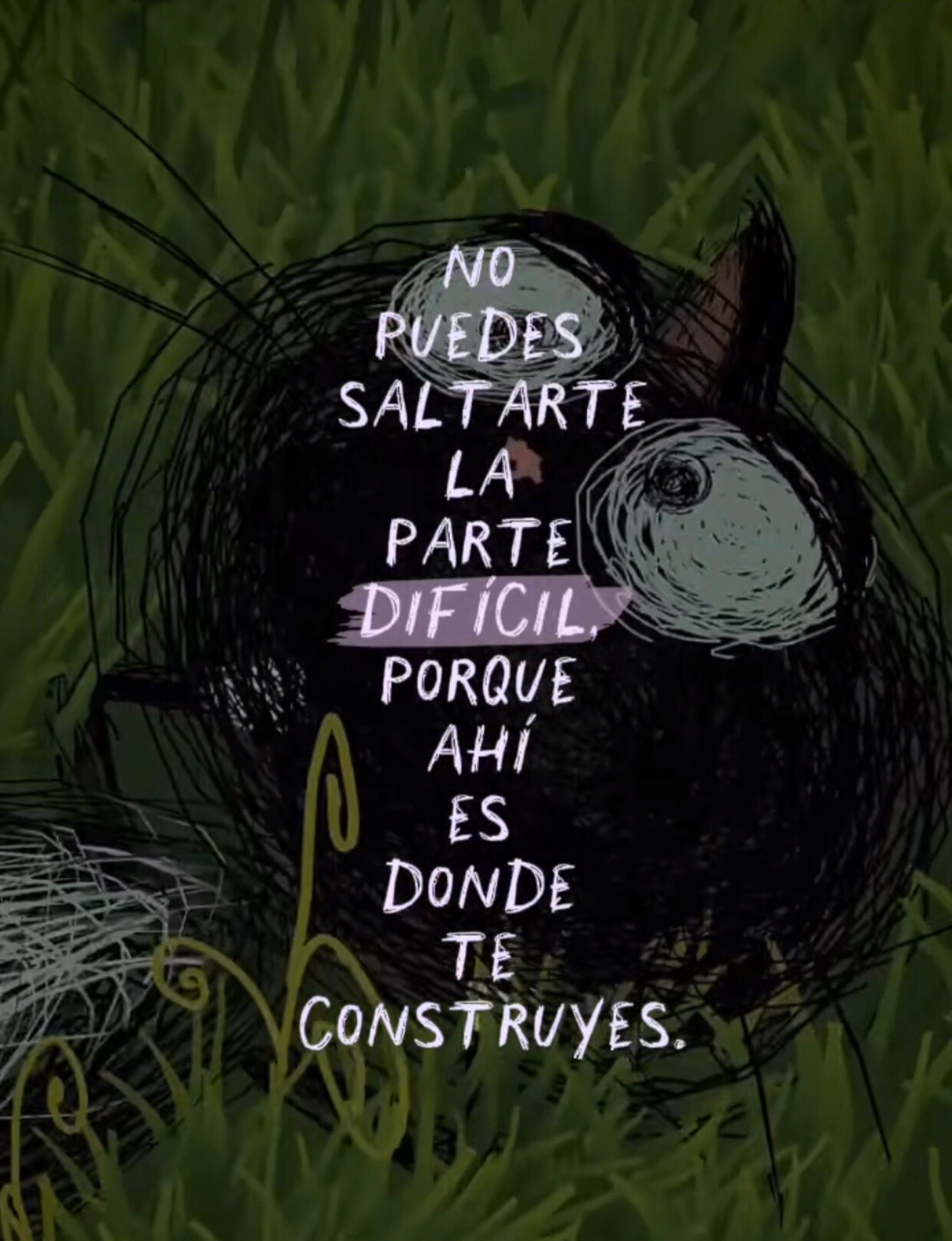 @Allan Garcia cabezas
