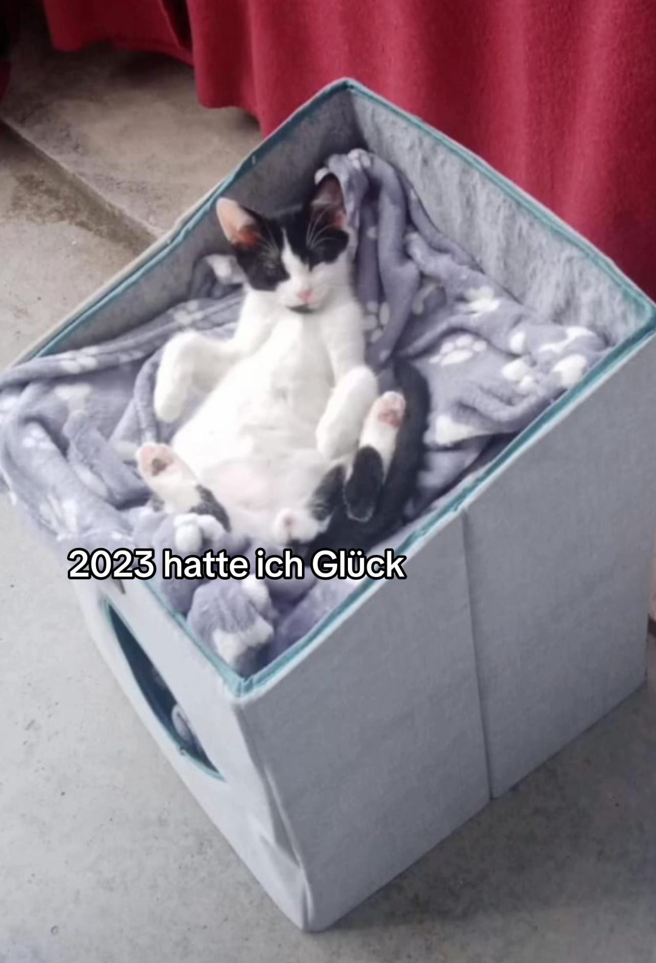 @20.4.2025_ P🕊️🐈&zwj;⬛💭