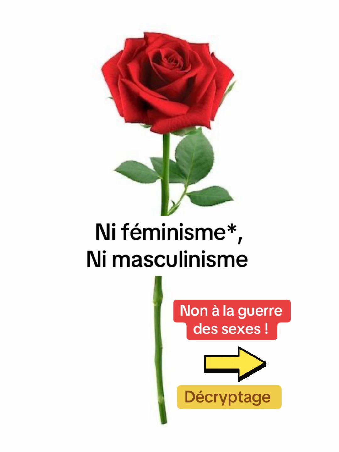 @Thomas Petit