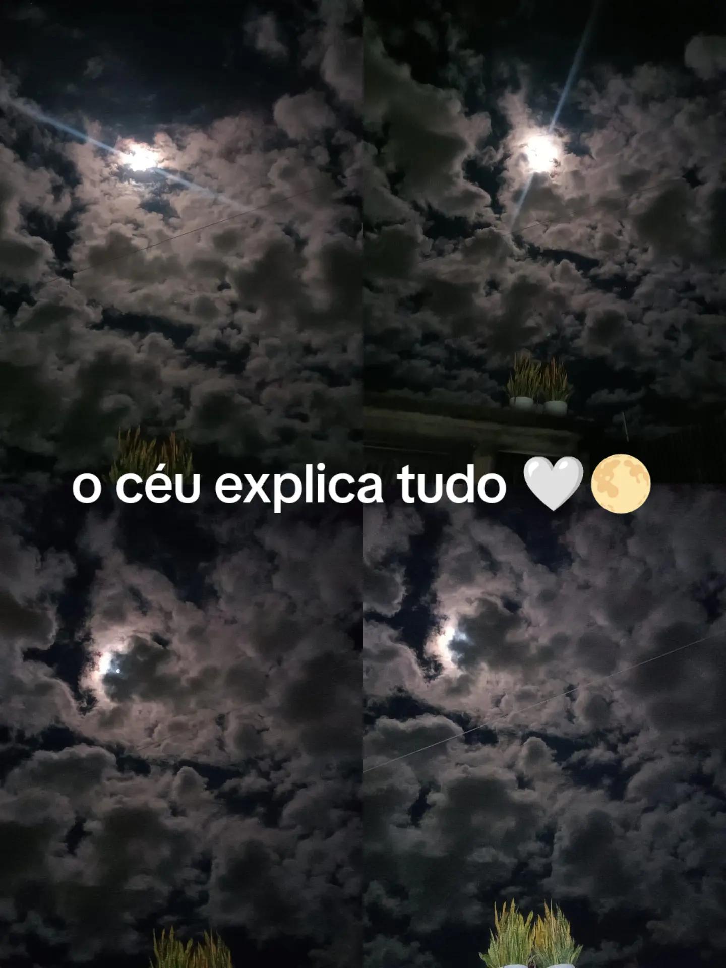 @Monica Motta