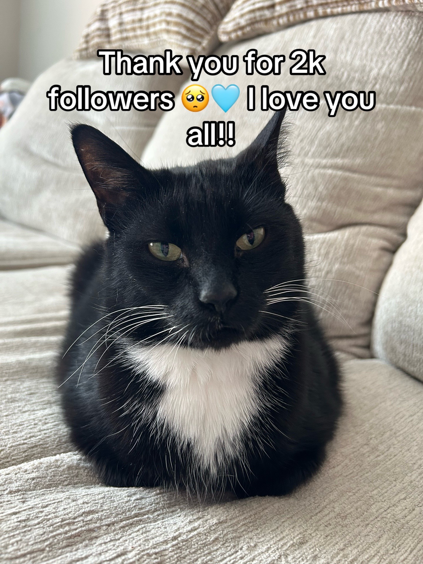 @CuddleBug