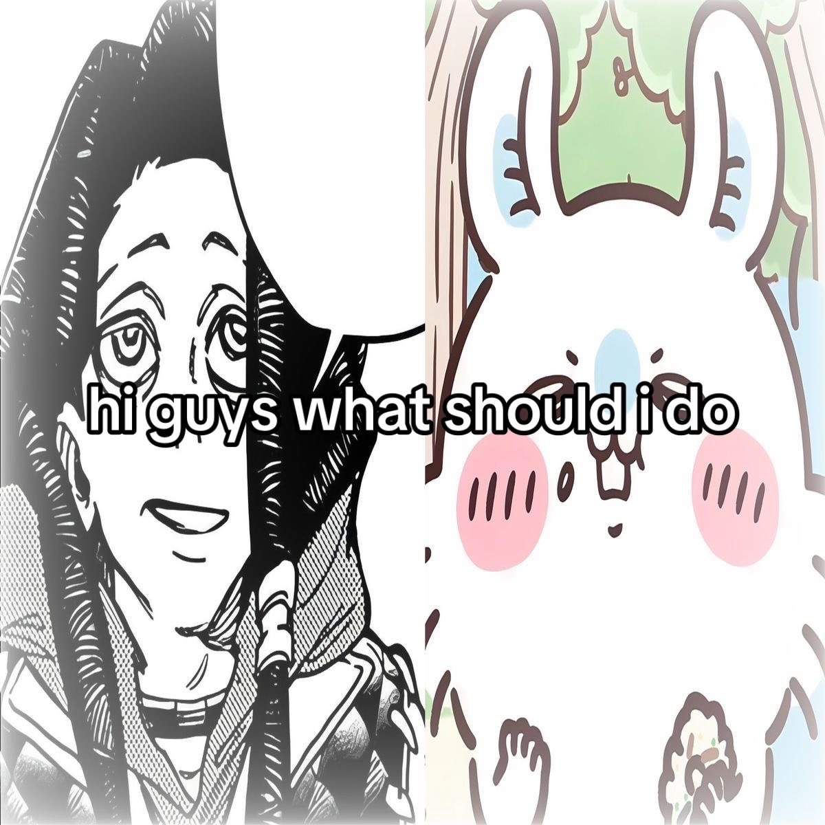 @ᥫ᭡