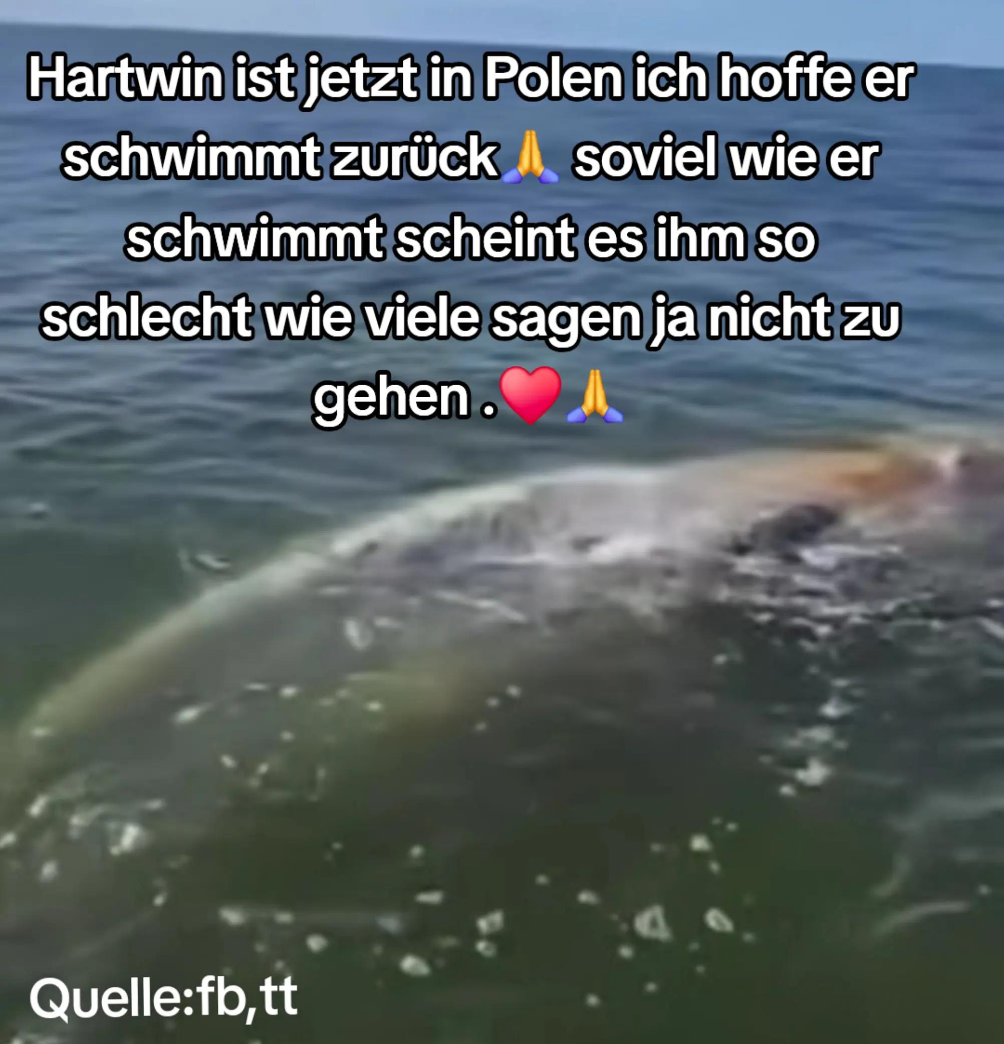 @🐳📚❤️DreamySusu❤️📚🐳