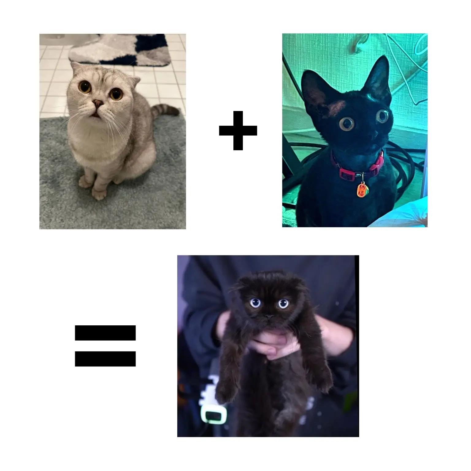 @каночка
