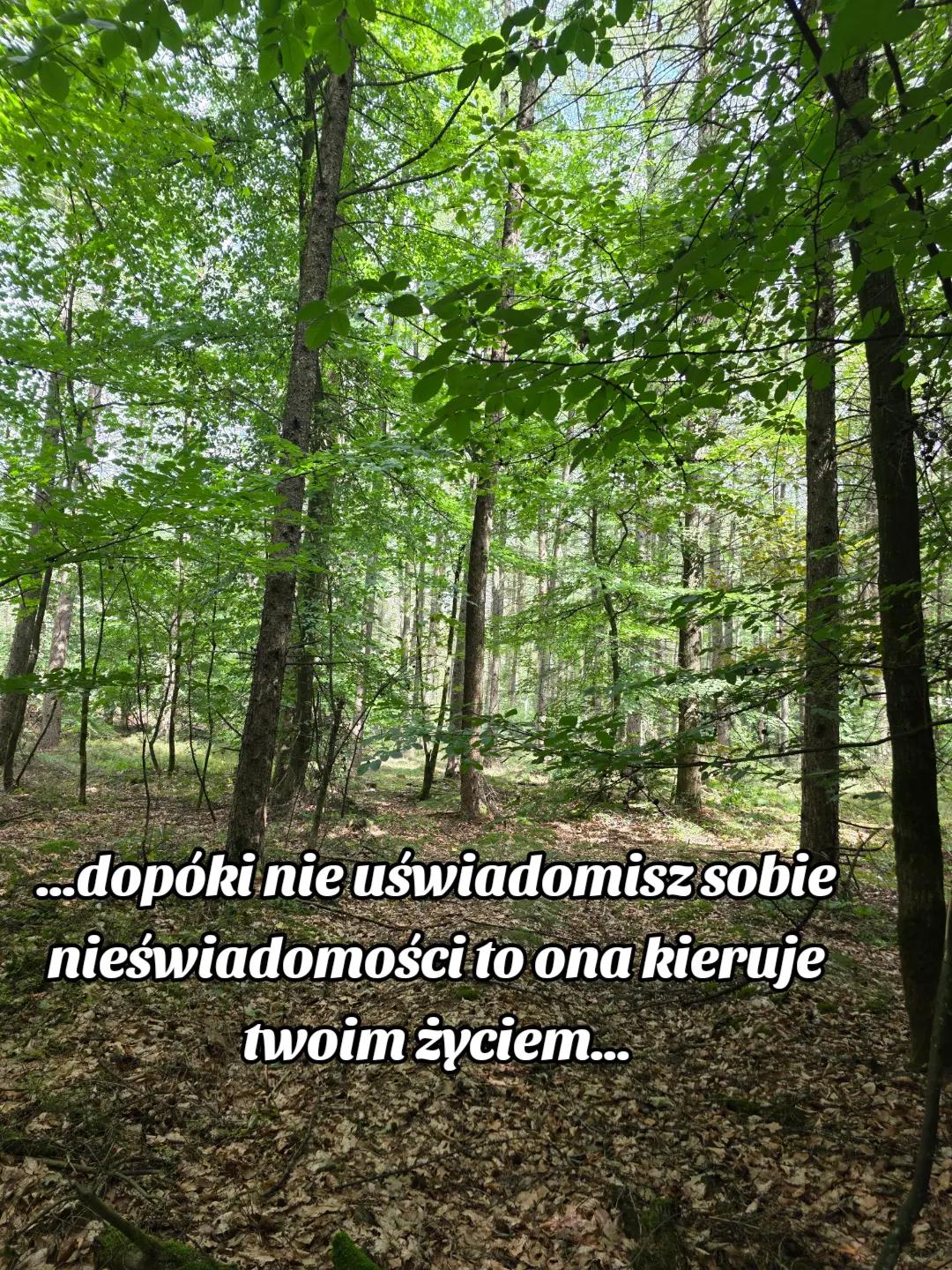@Madzia Madziula