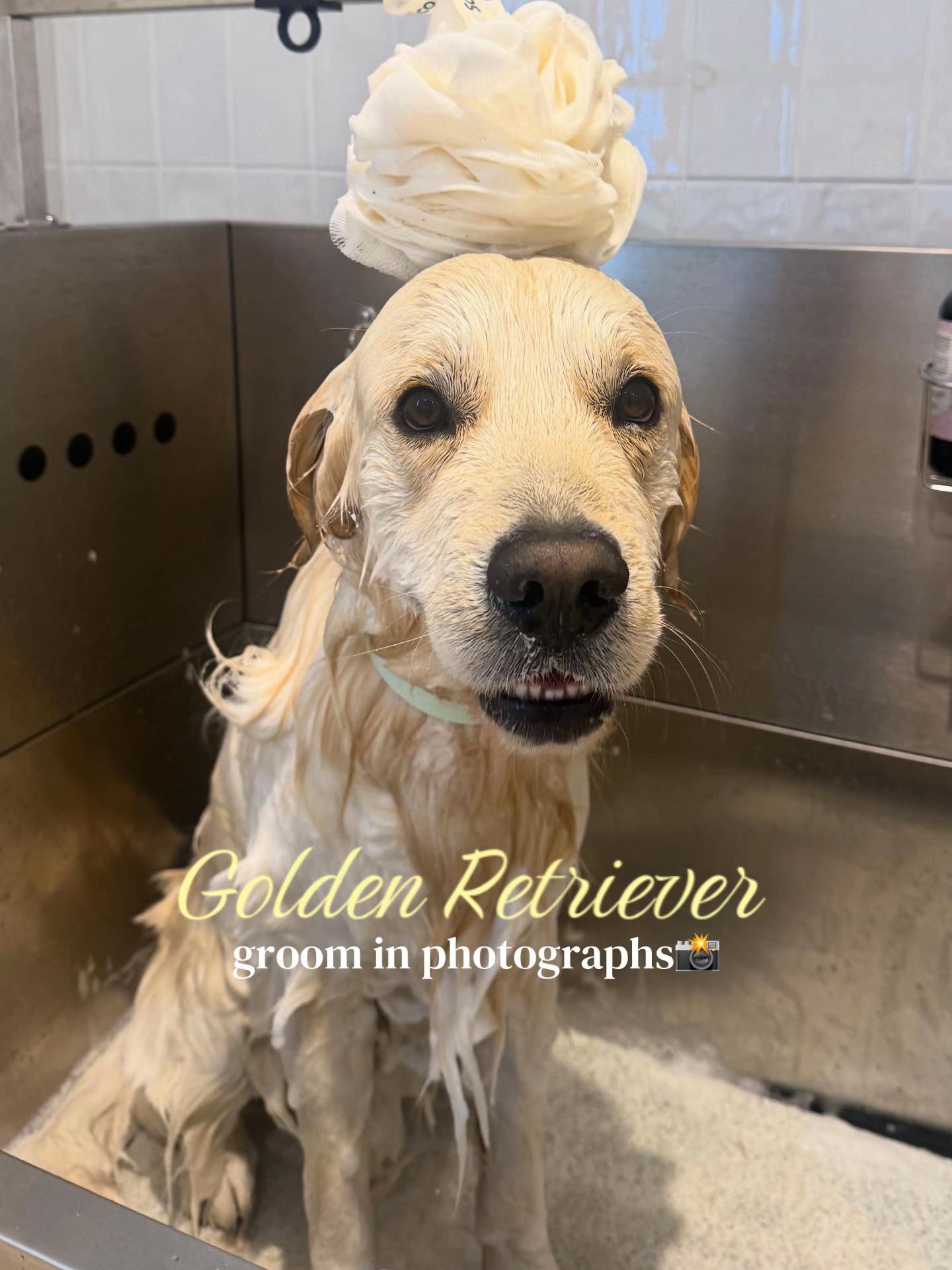 @thesecretdogspa