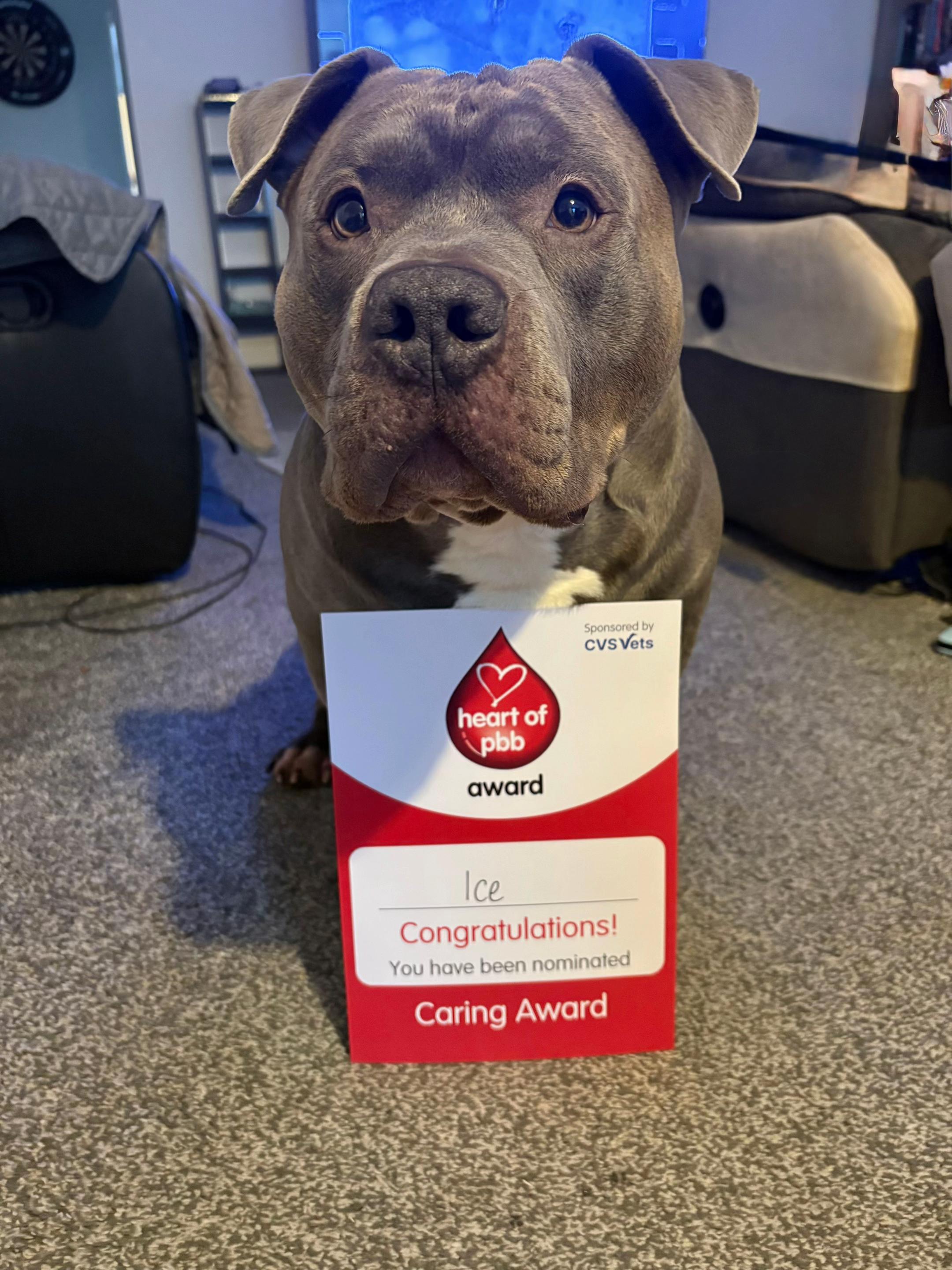 @Uk_dogs.