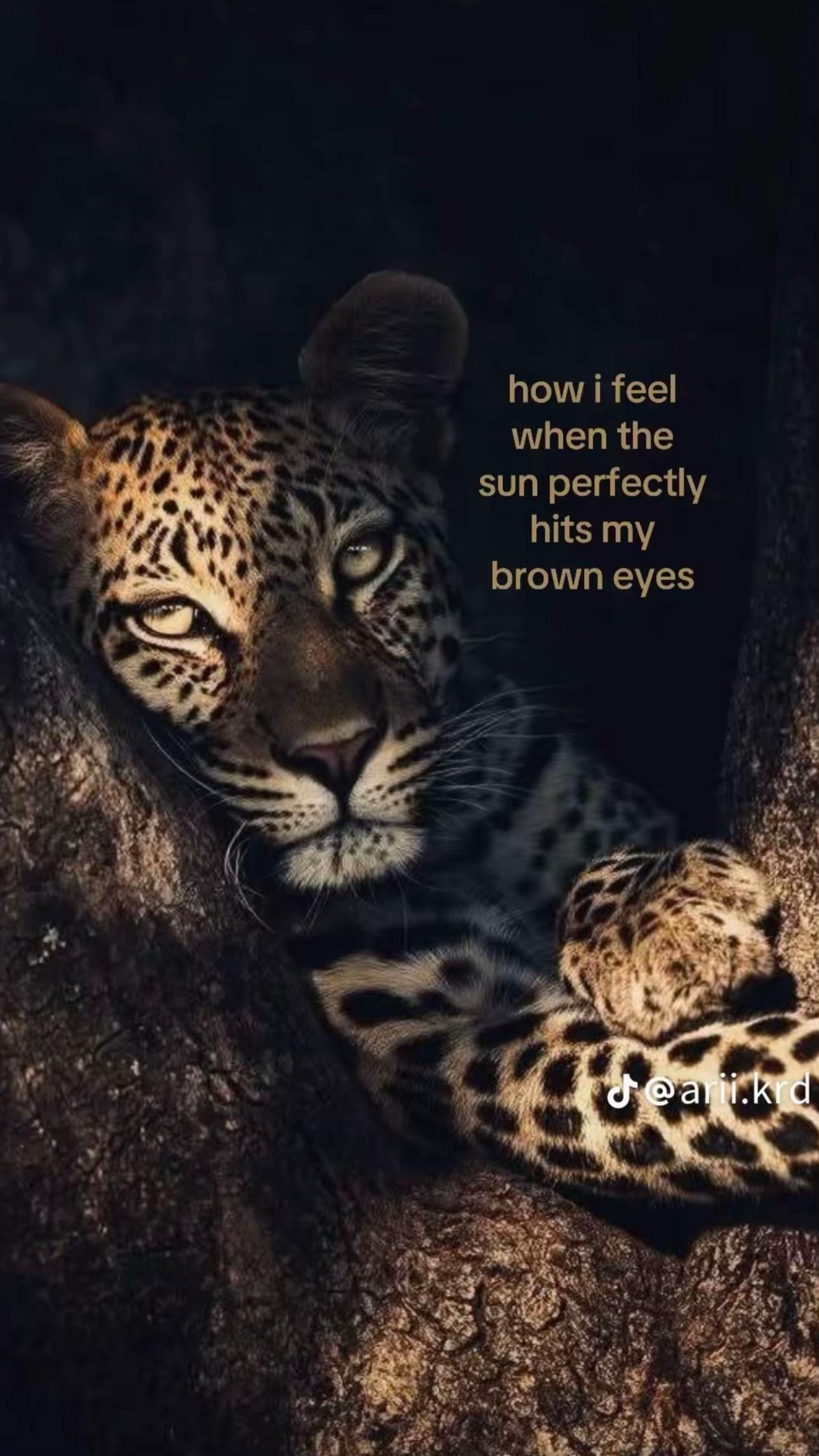 @𝑀𝑒𝓁𝒾𝓈𝓈𝒶