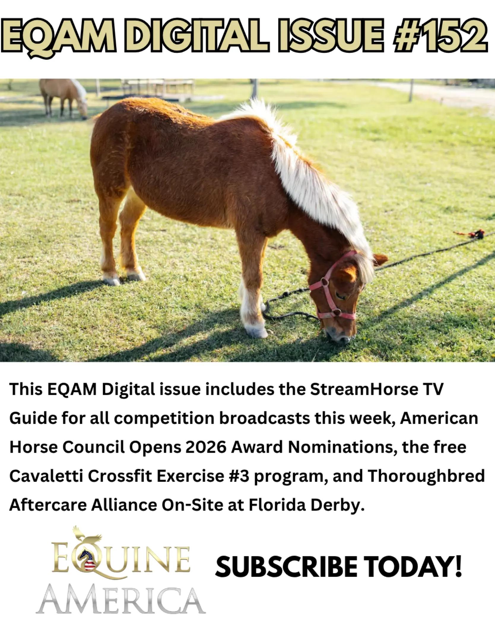 @streamhorse