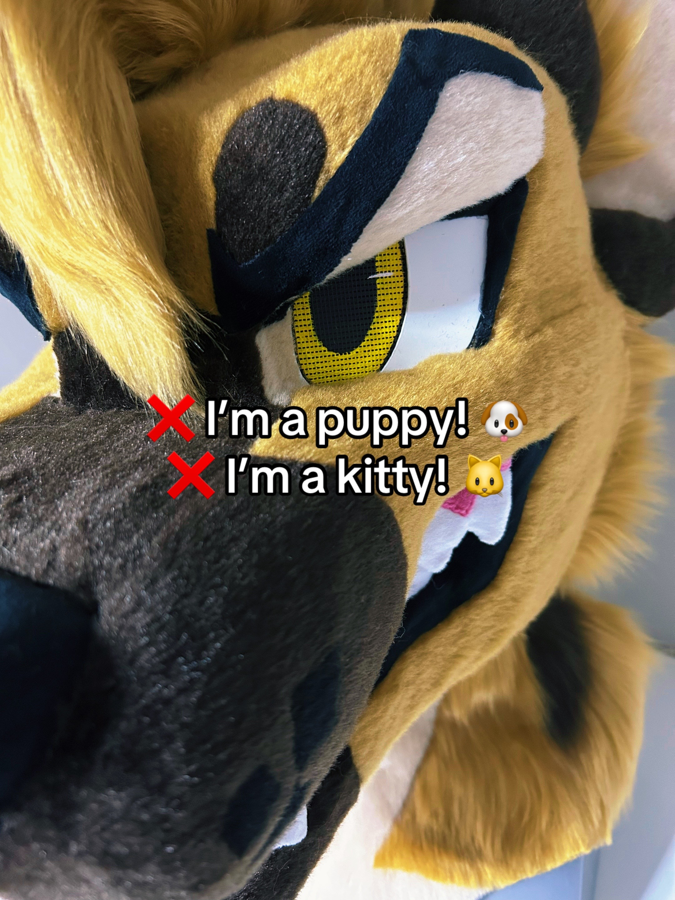 @Dr. Rood Hyena 🇲🇽