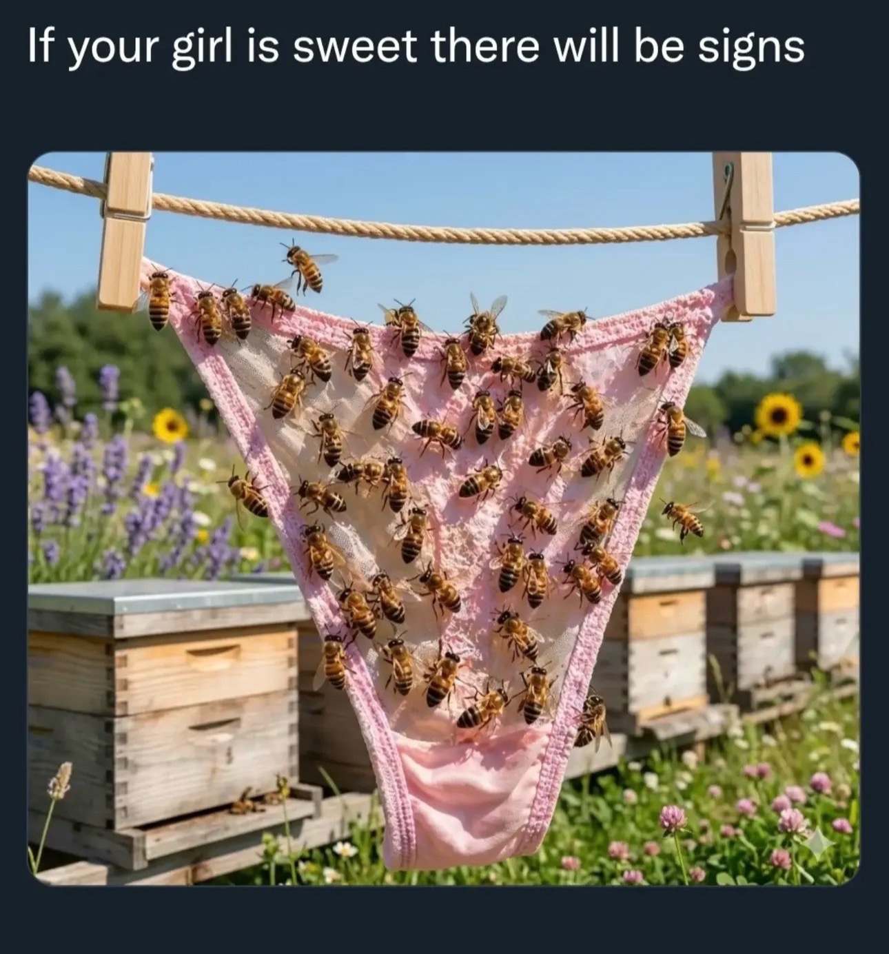 @Mentally ill beekeeper