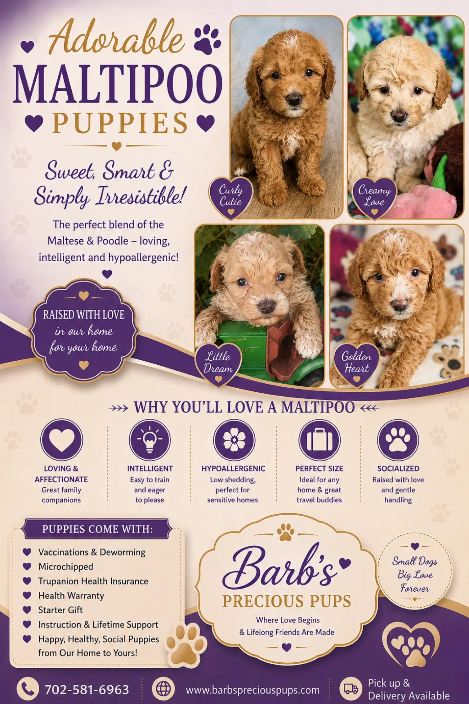 @Barb's Precious Pups
