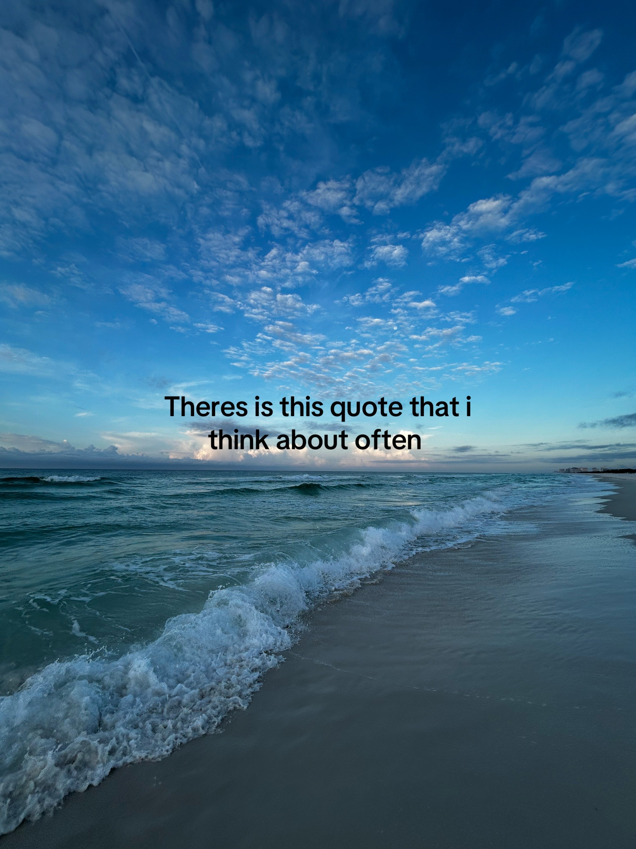 @🪼+58🪼