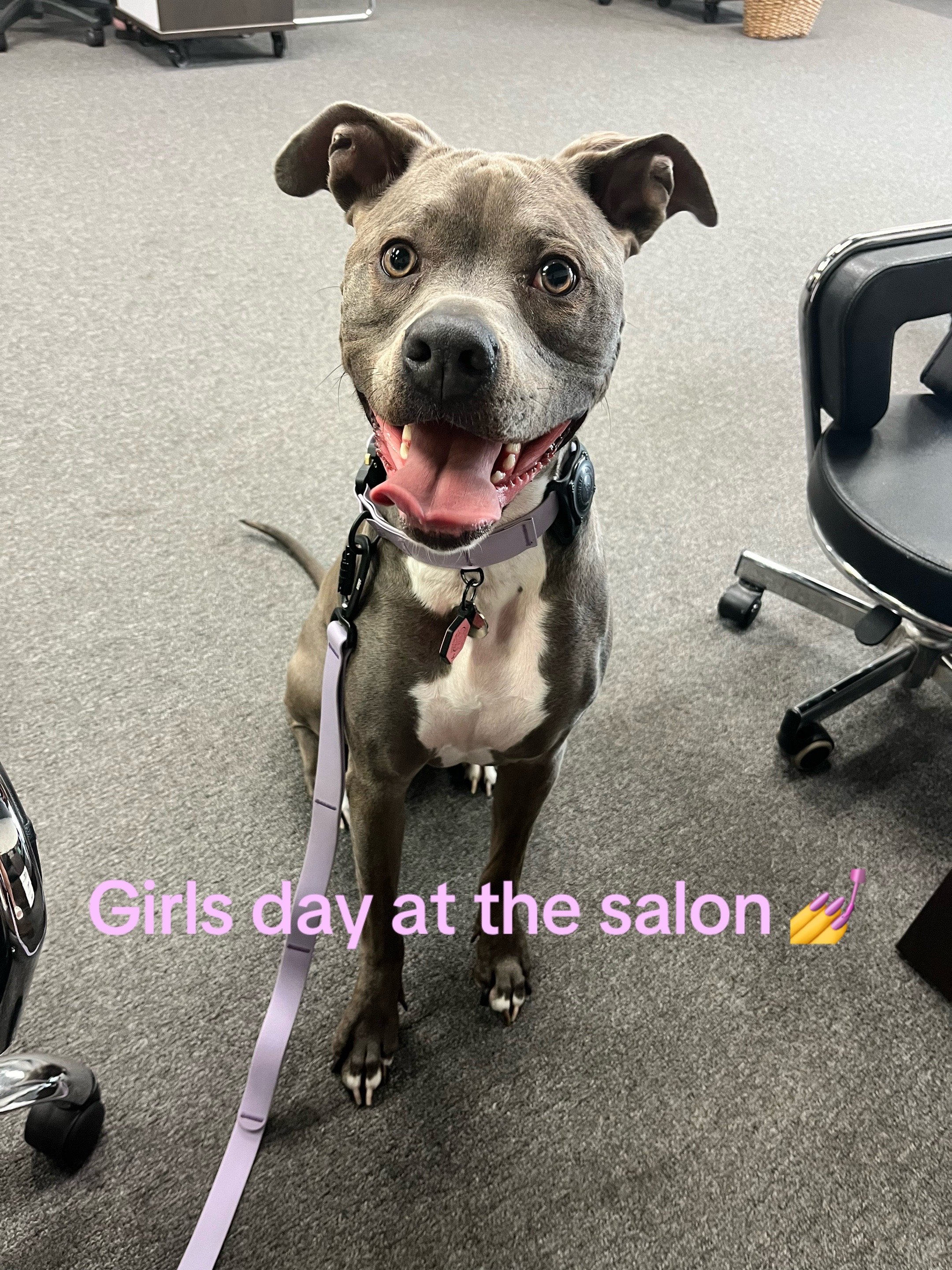 @Ivy the pitty