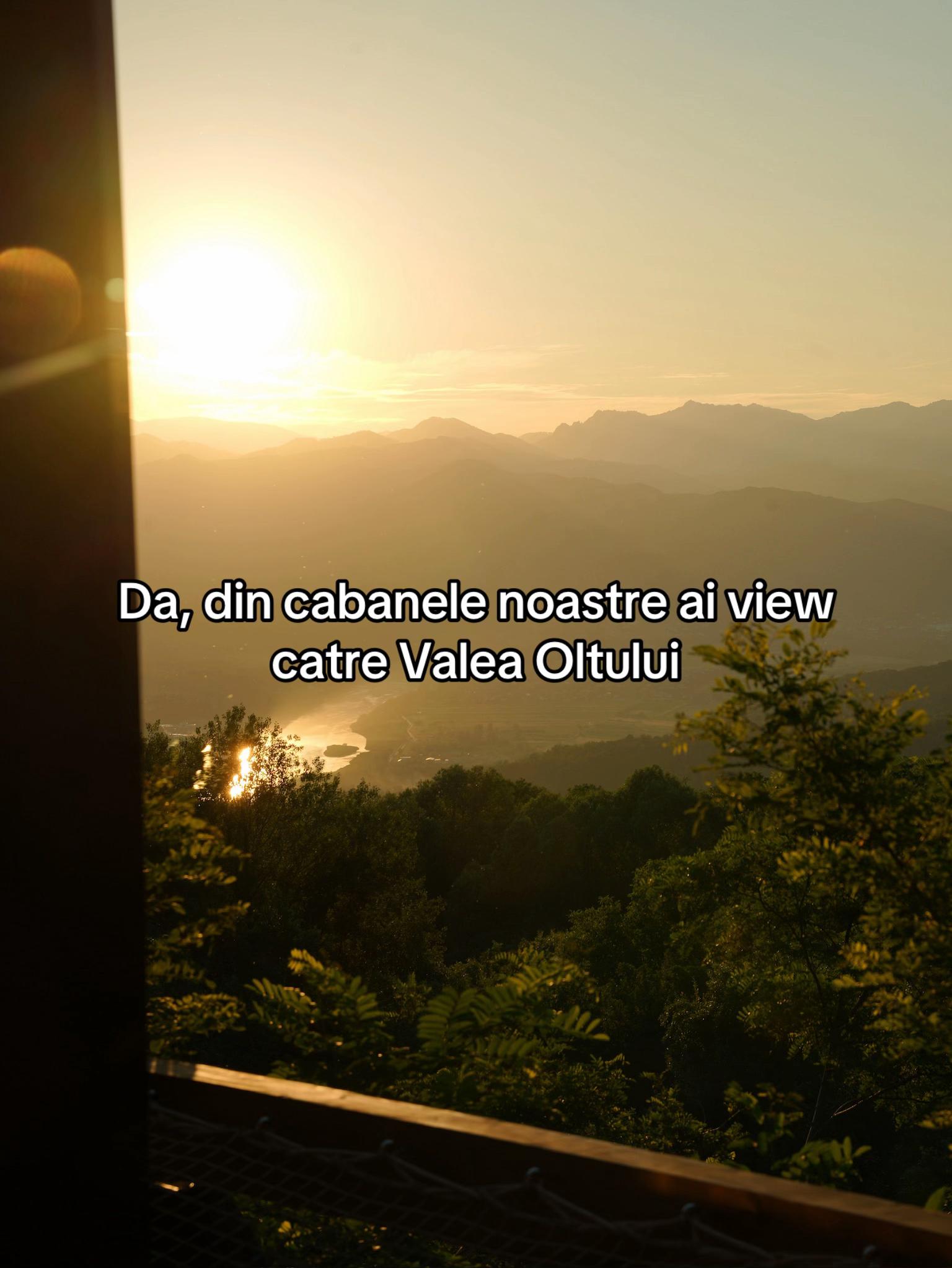 @Forest View Valcea