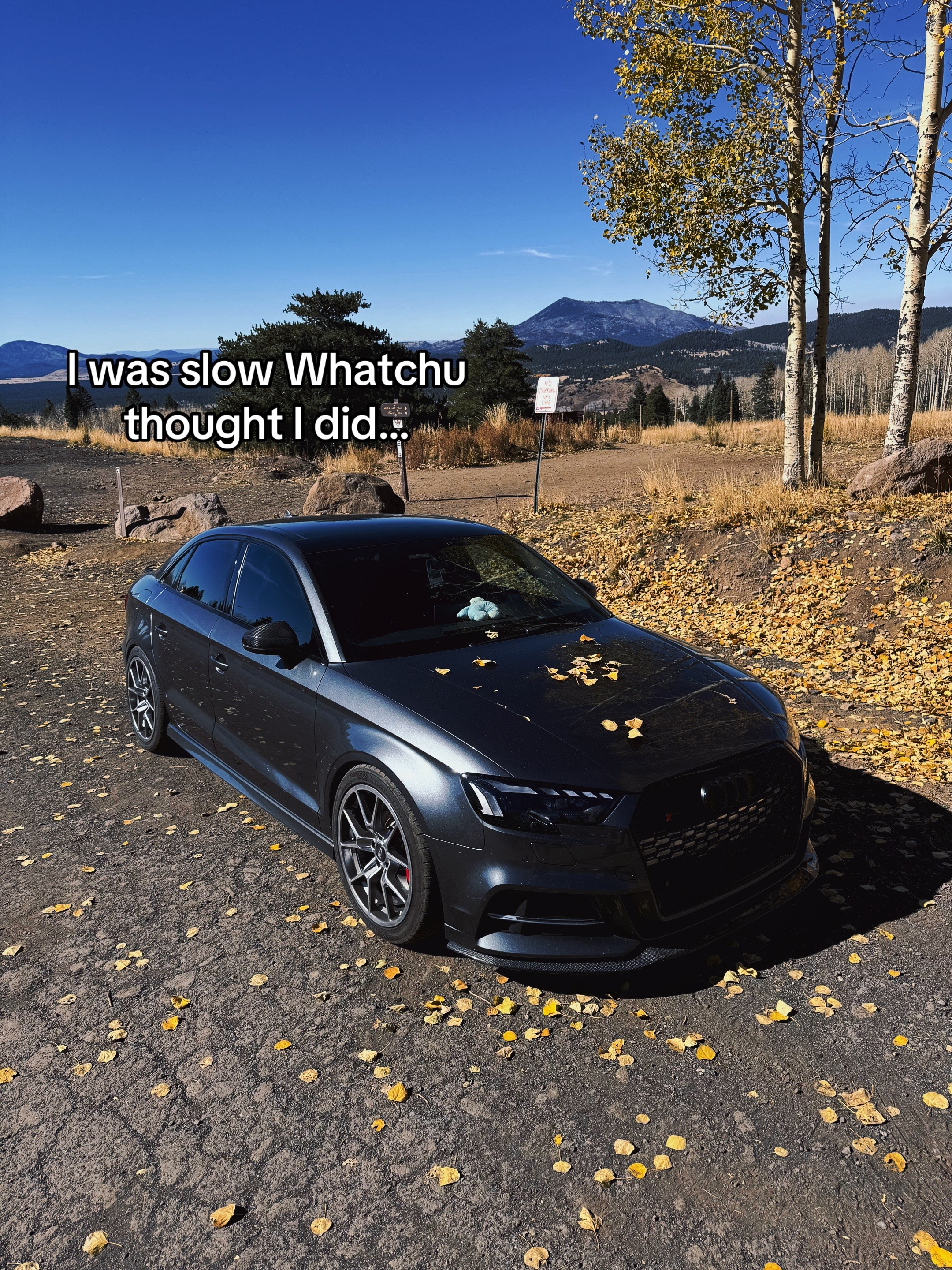 @quattro_octo