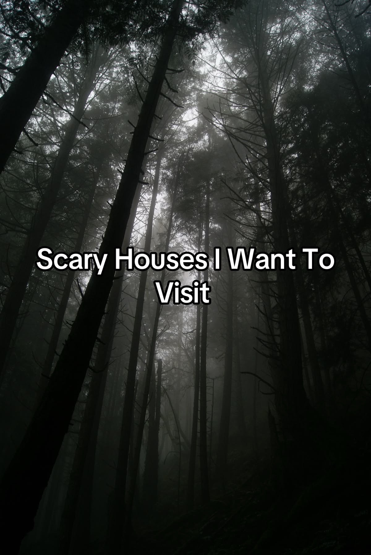@Megan's Horror 🩶