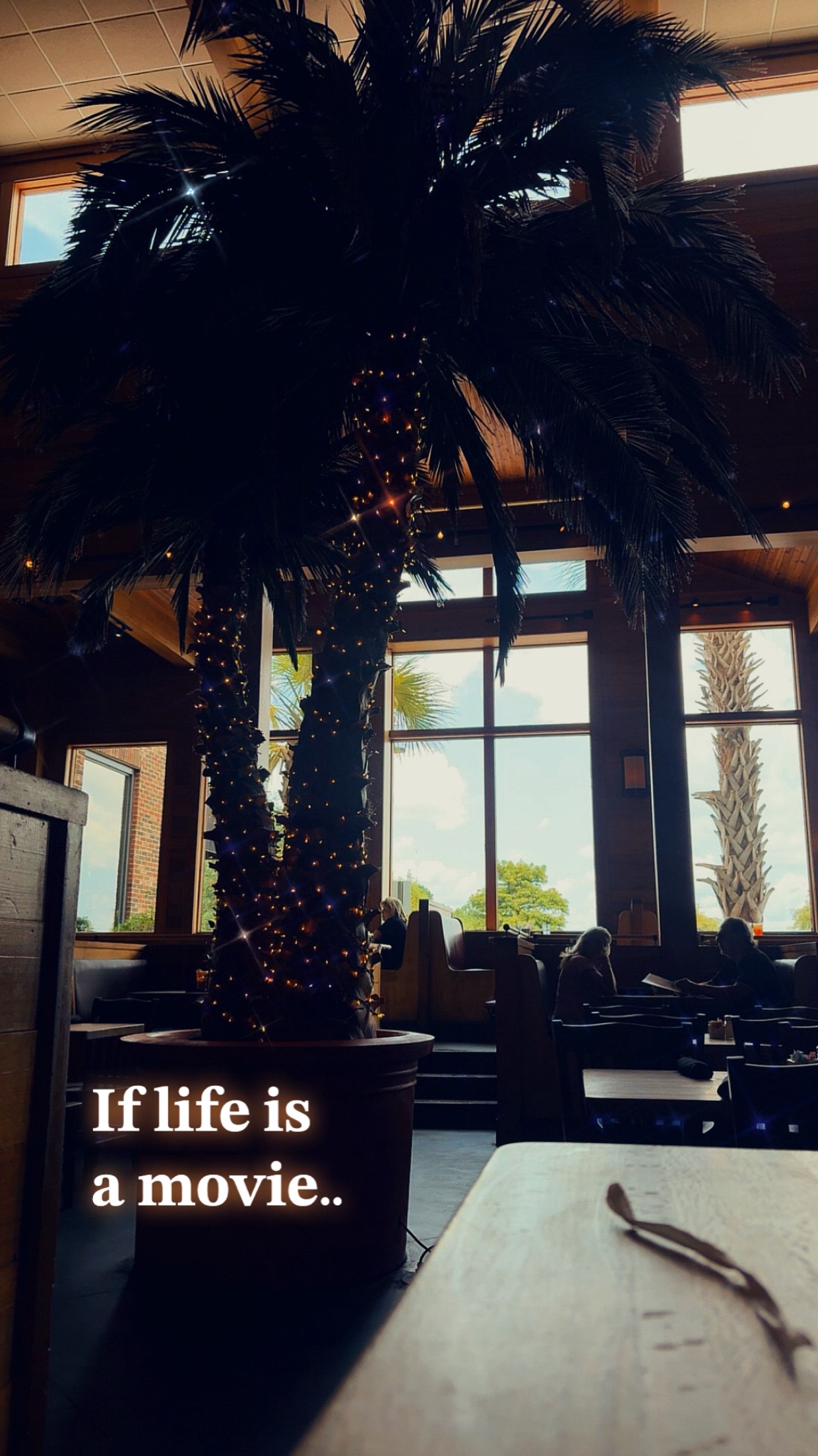 @-` 𝐄 𝐕 𝐄 𝐋 𝐘 𝐍 𝐍.🍂 ´-