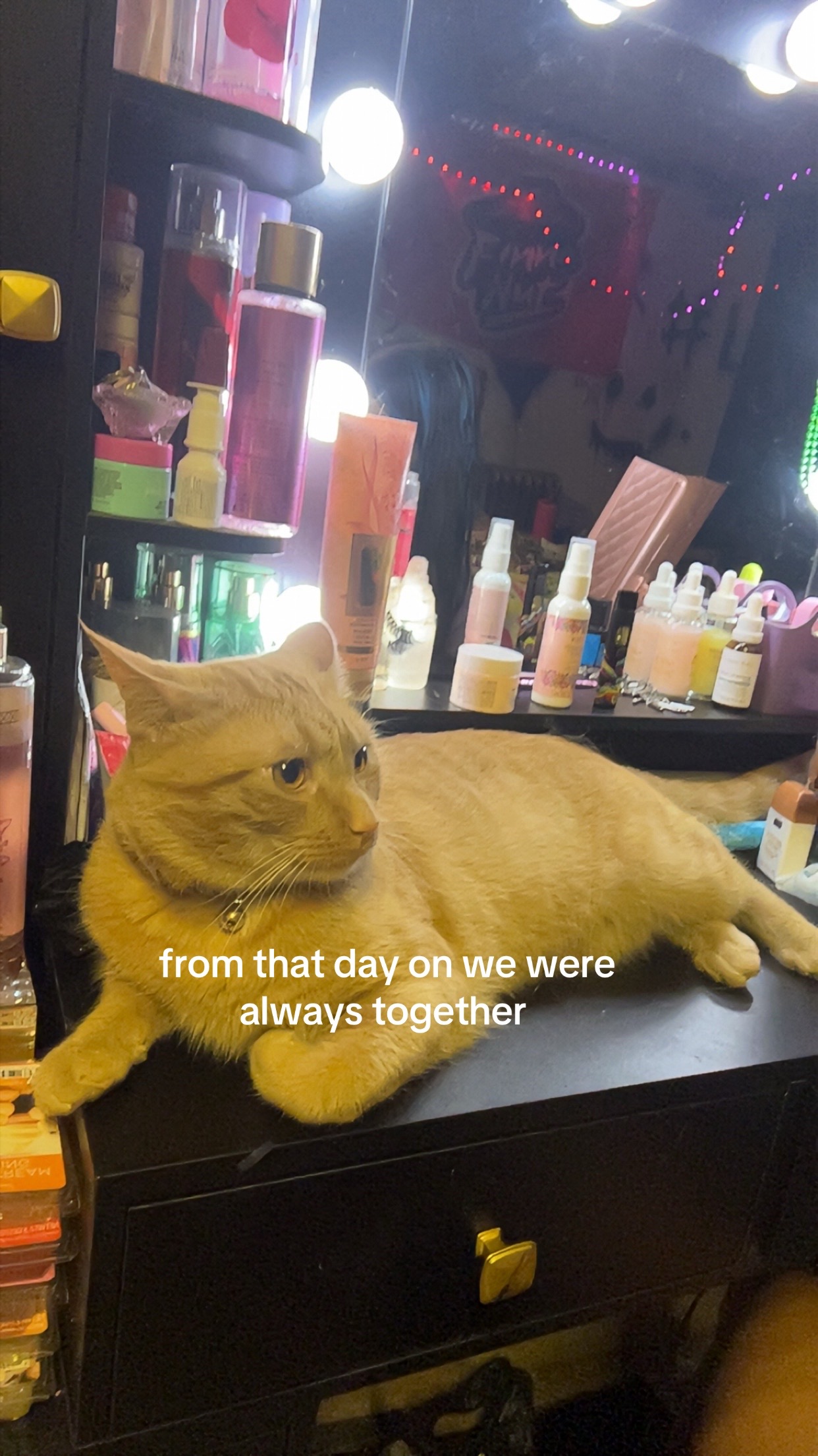 @️nikki😝