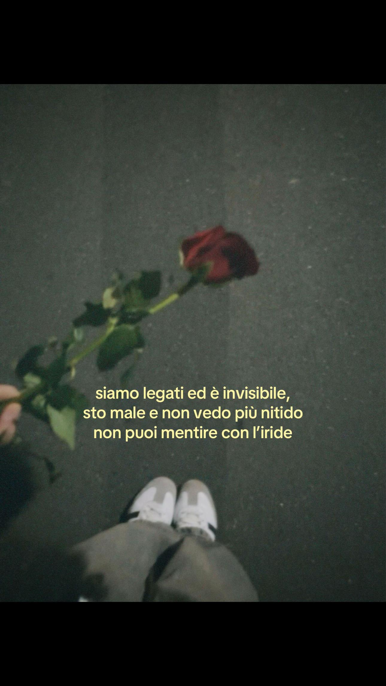 @sophi