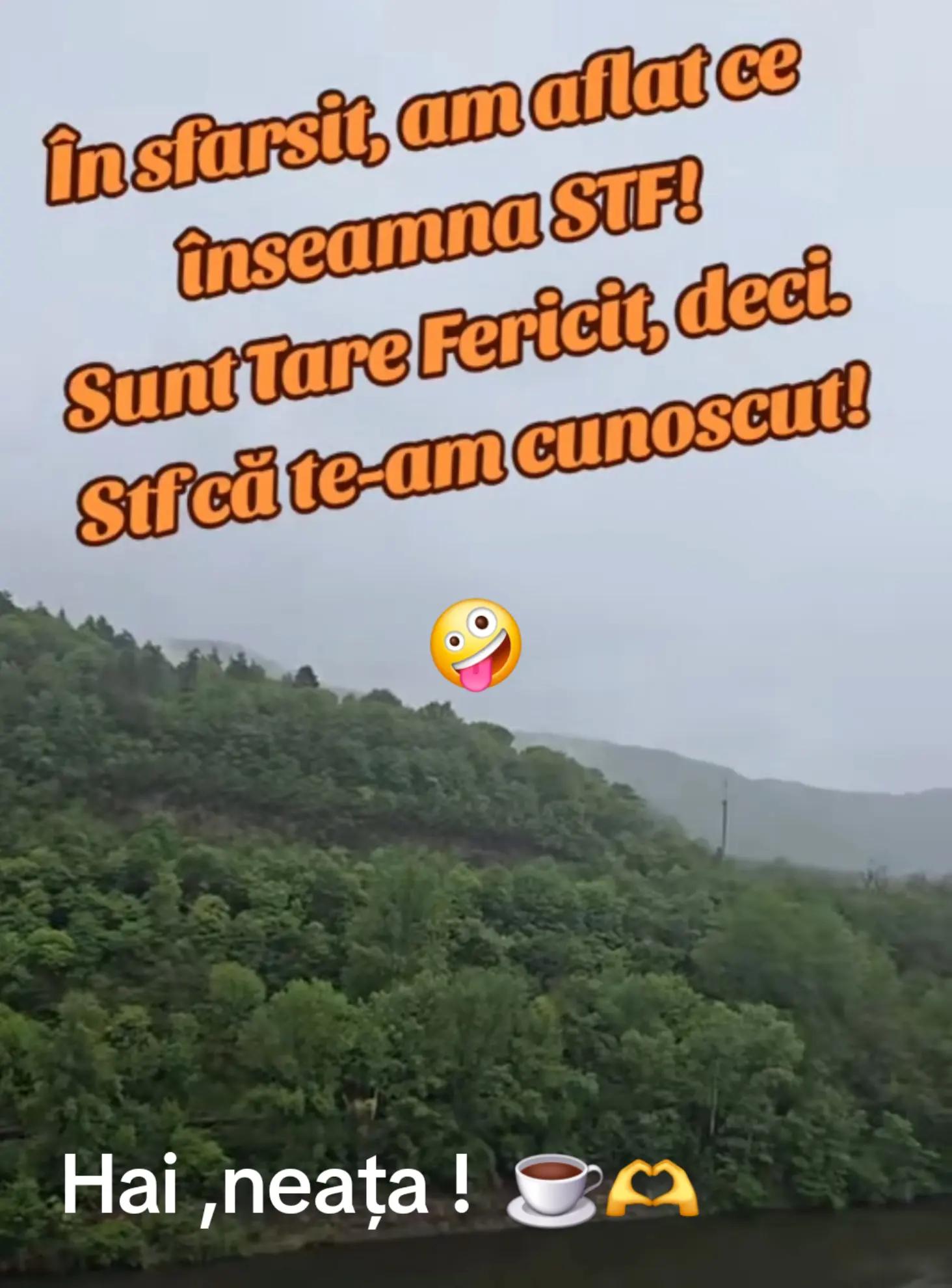 @Gianina Ioniță