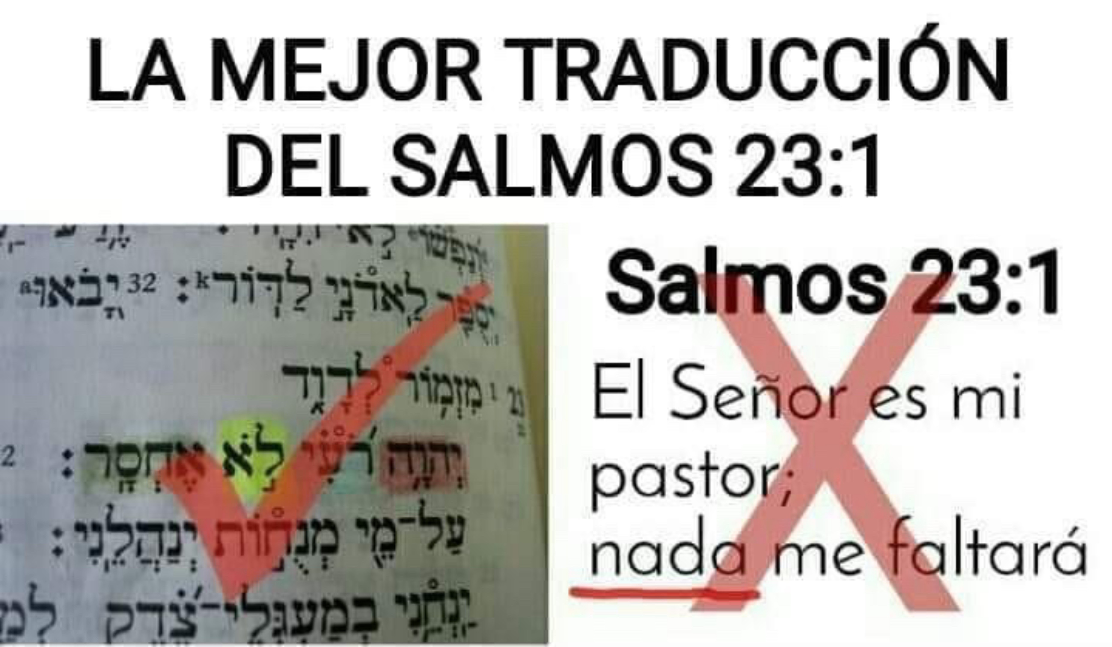 @Ajel - Torah para hoy