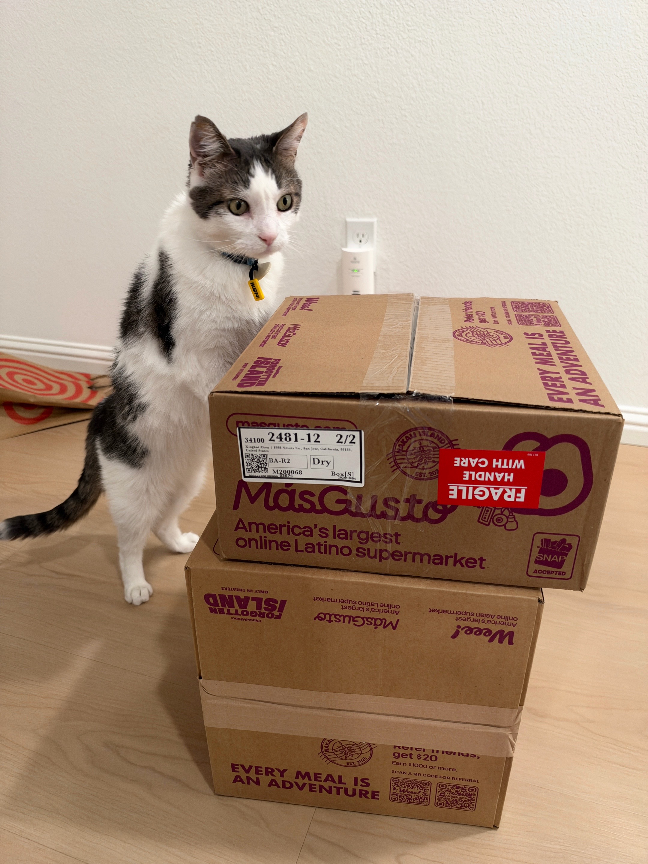 @Mimi Wawa Meow