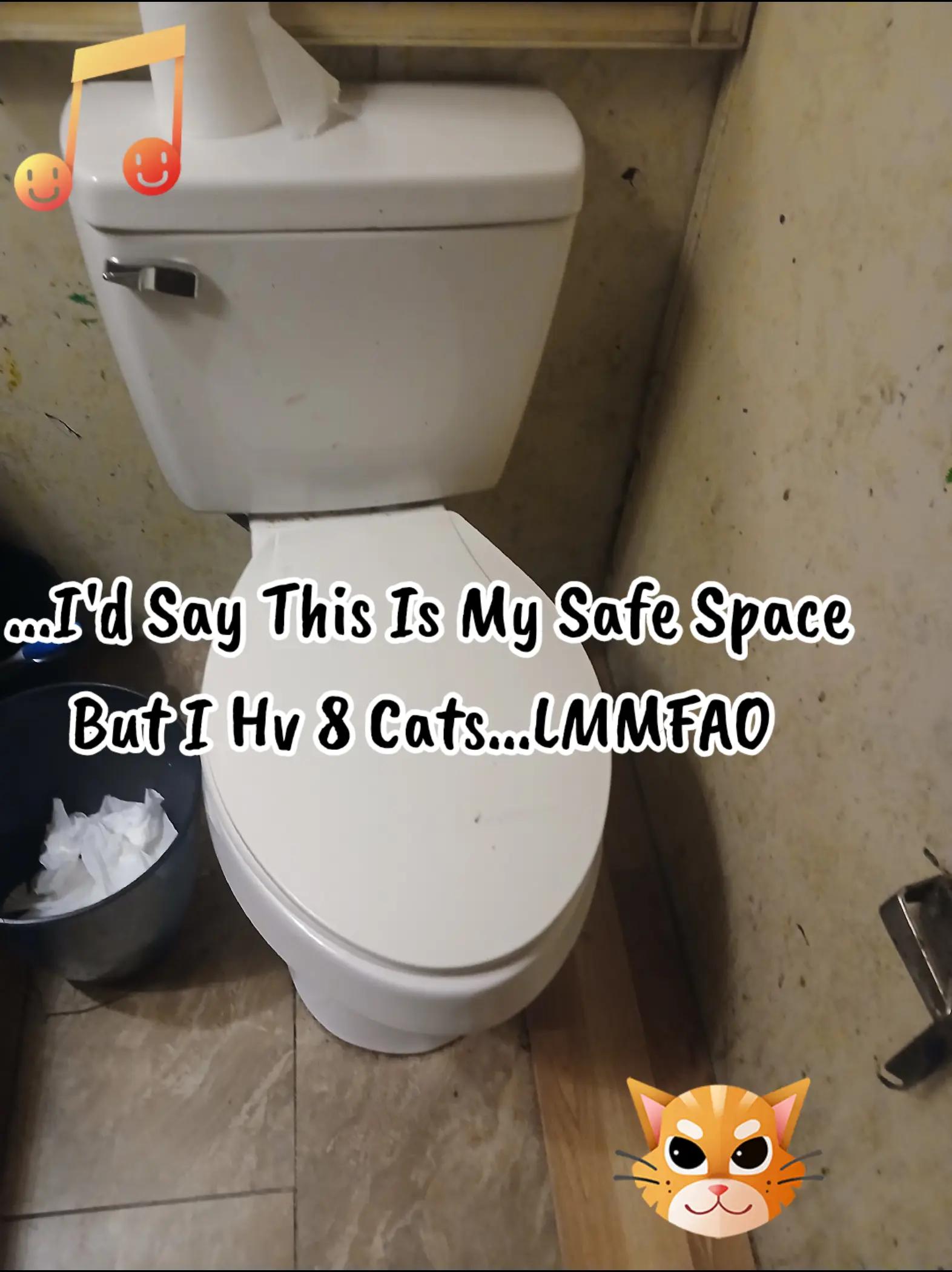 @Booh Hovey crazycatlady3