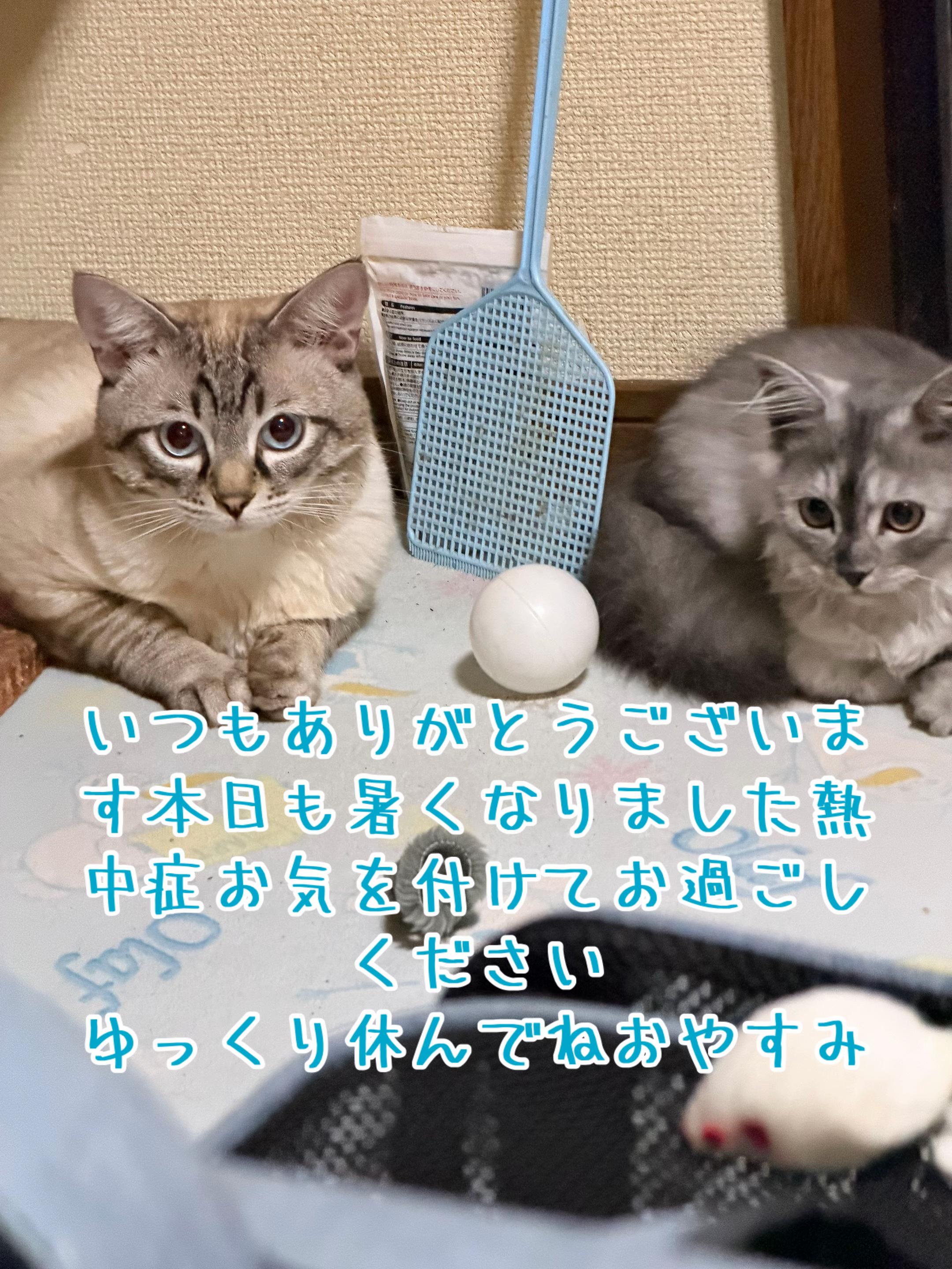 @ð¥é»æŸ€æ£å¿ð¥