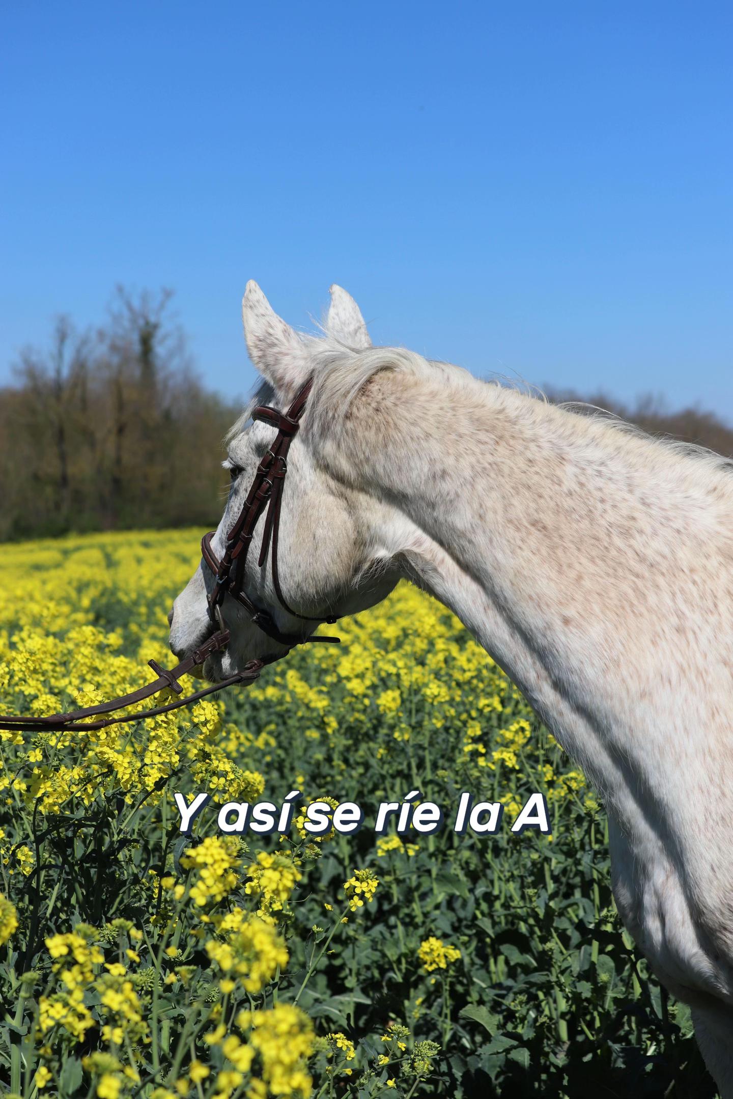 @Manon Capricorne