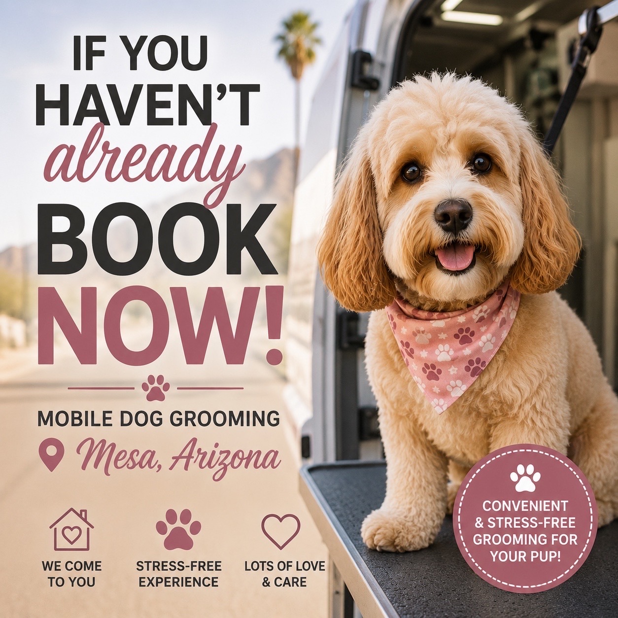 @Vivismobiledoggrooming