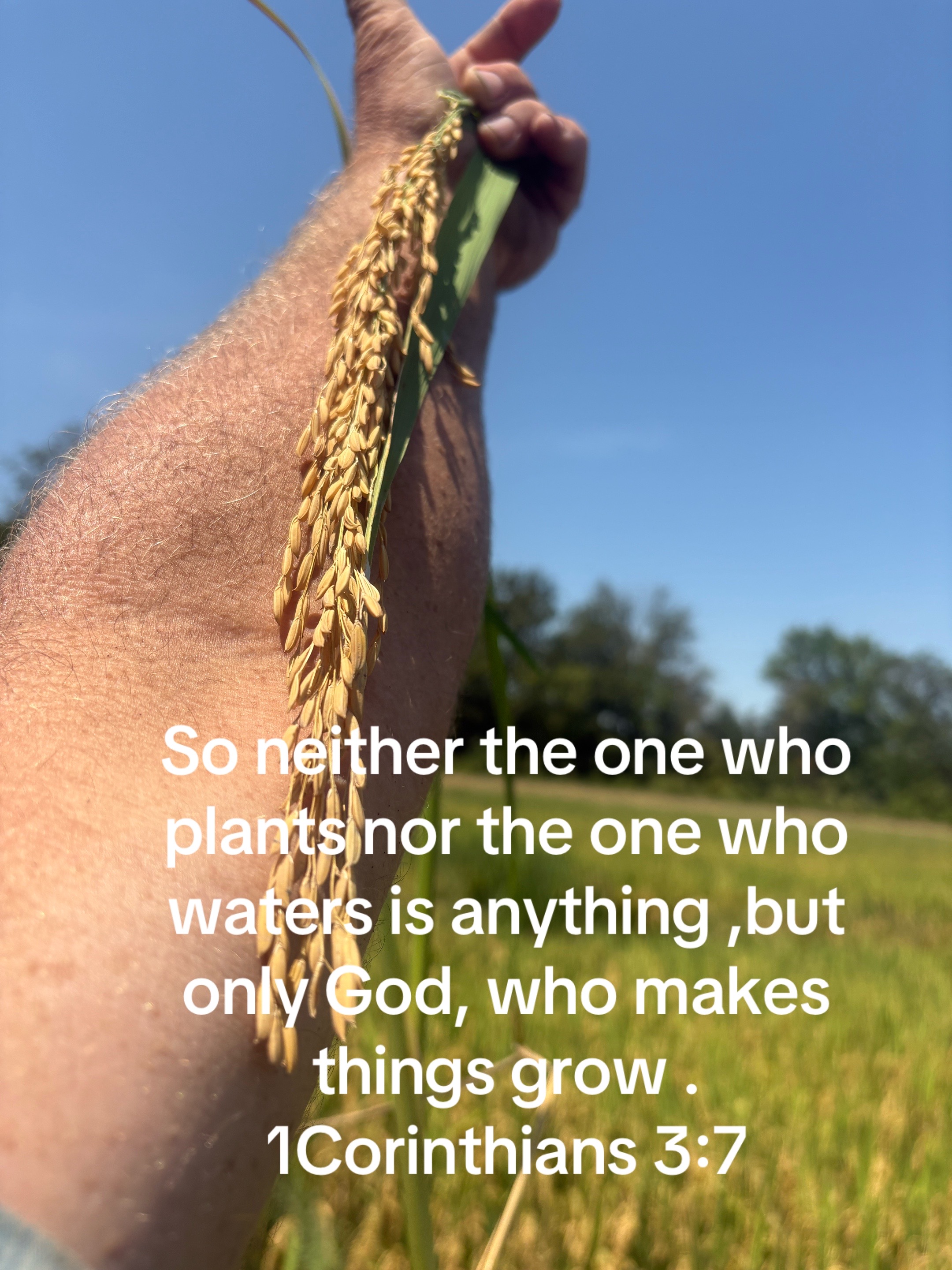 @Mallard Smacker Lanyards
