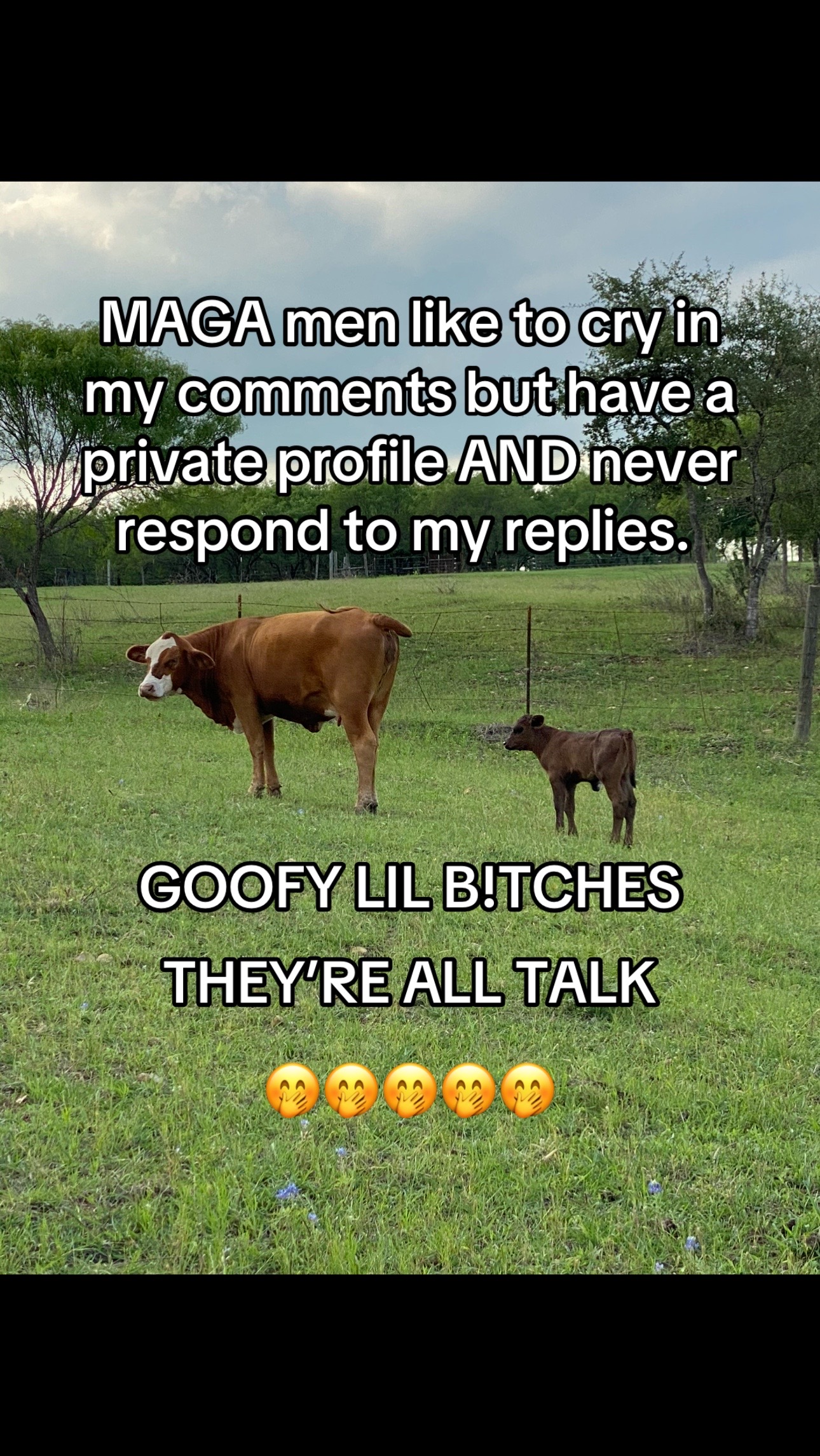 @Tessa Lawson