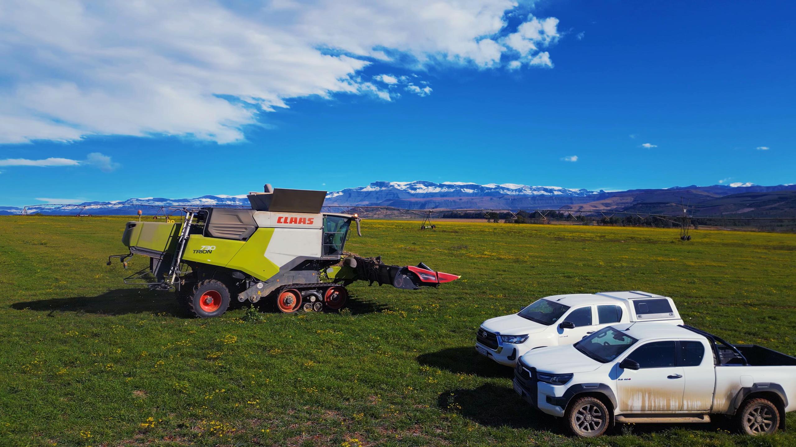 @Frankly Farming
