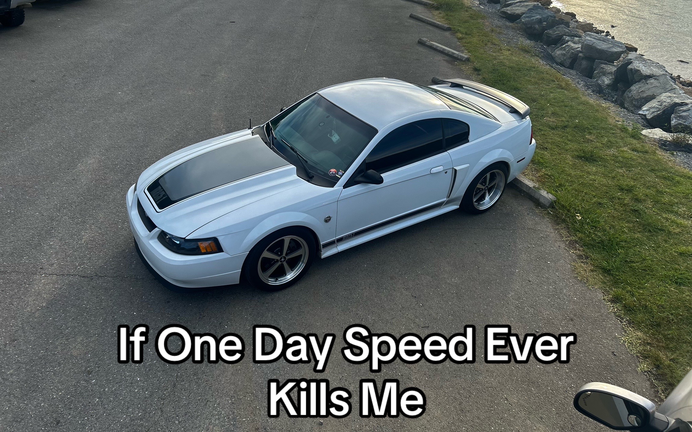 @ThatSlowFox