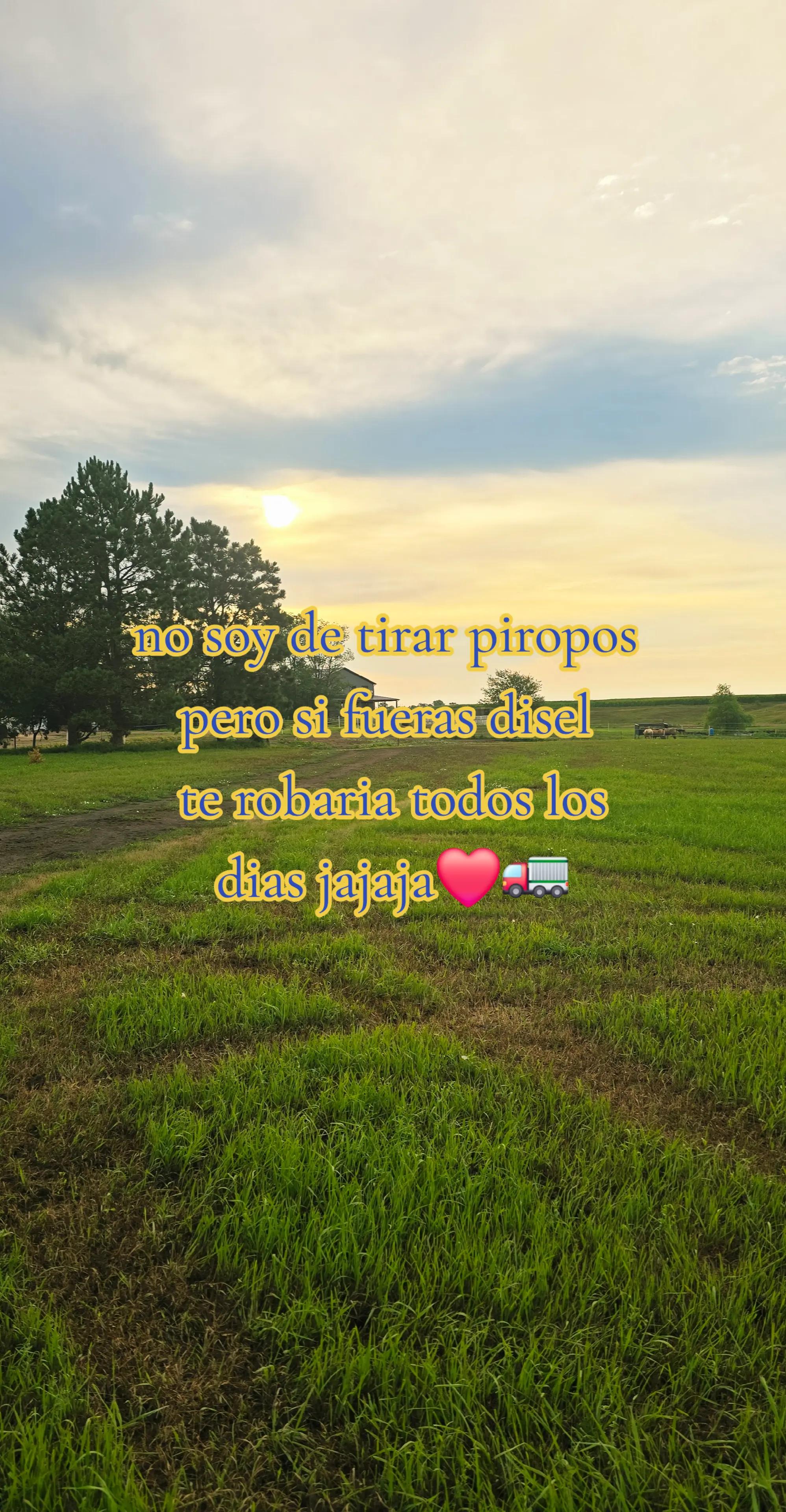 @tiocito🥸