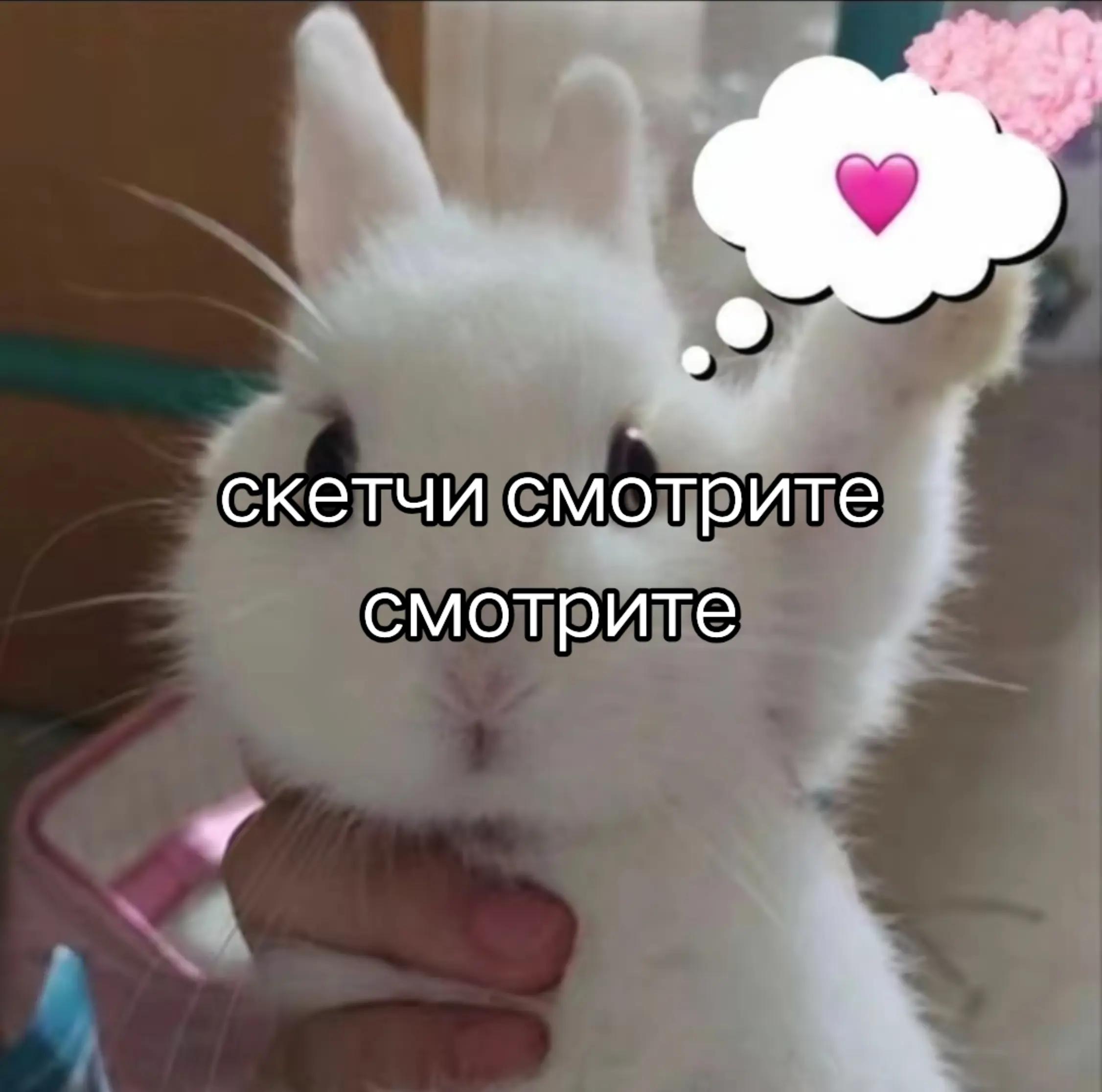 @KANON